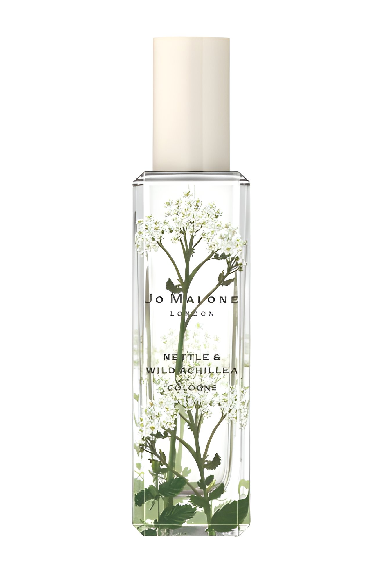 Picture of Nettle & Wild Achillea fragrance