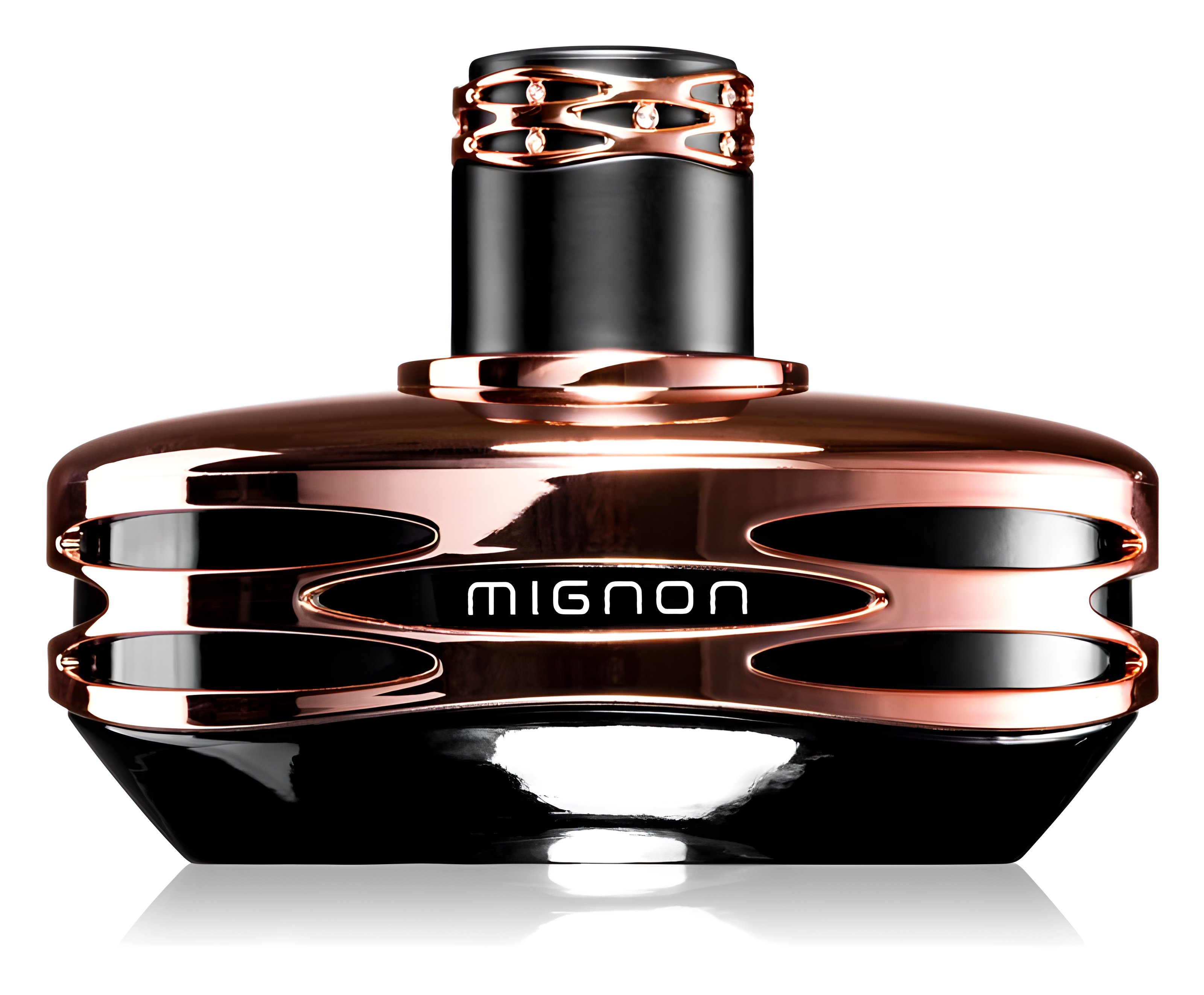 Picture of Mignon Black fragrance