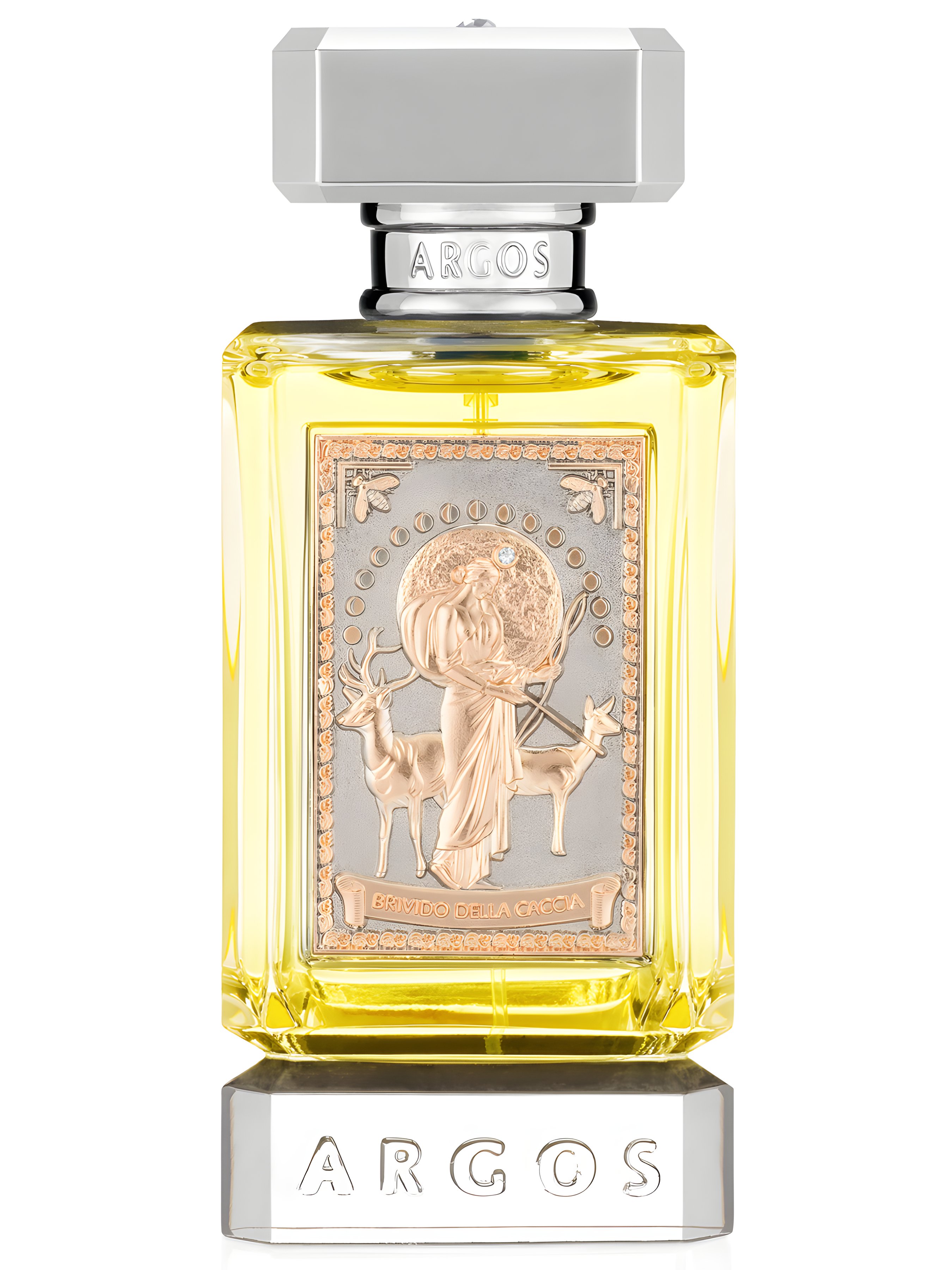 Picture of Brivido Della Caccia fragrance