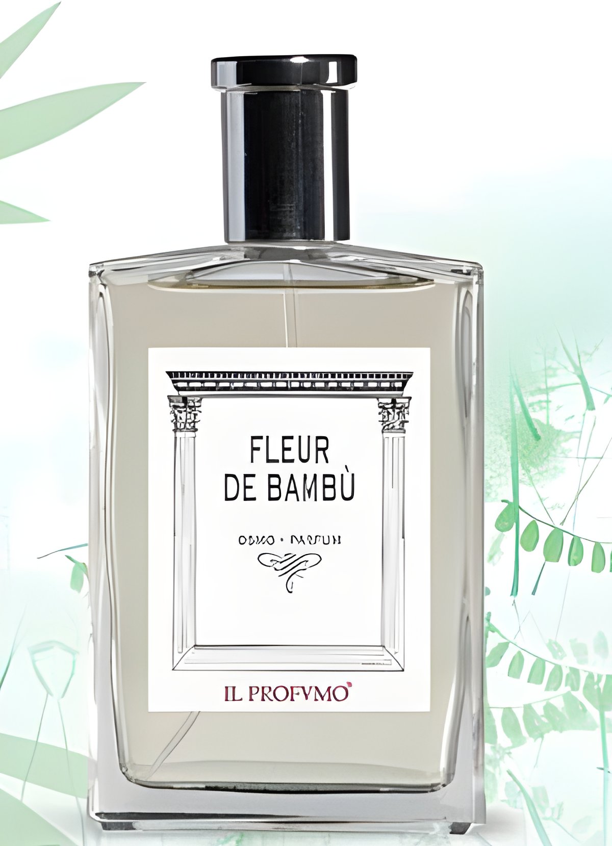 Picture of Fleur de Bambu fragrance