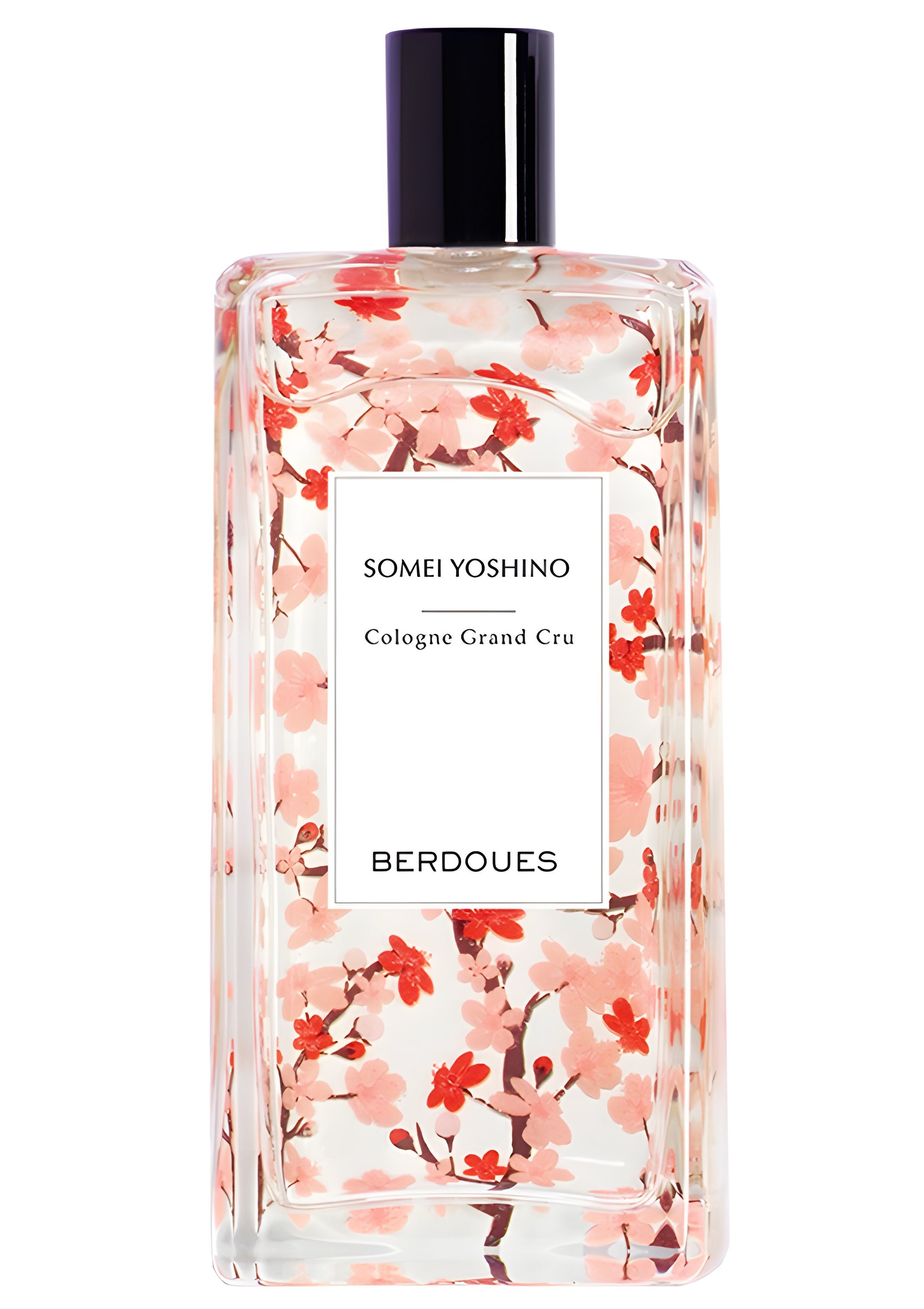 Picture of Somei Yoshino fragrance