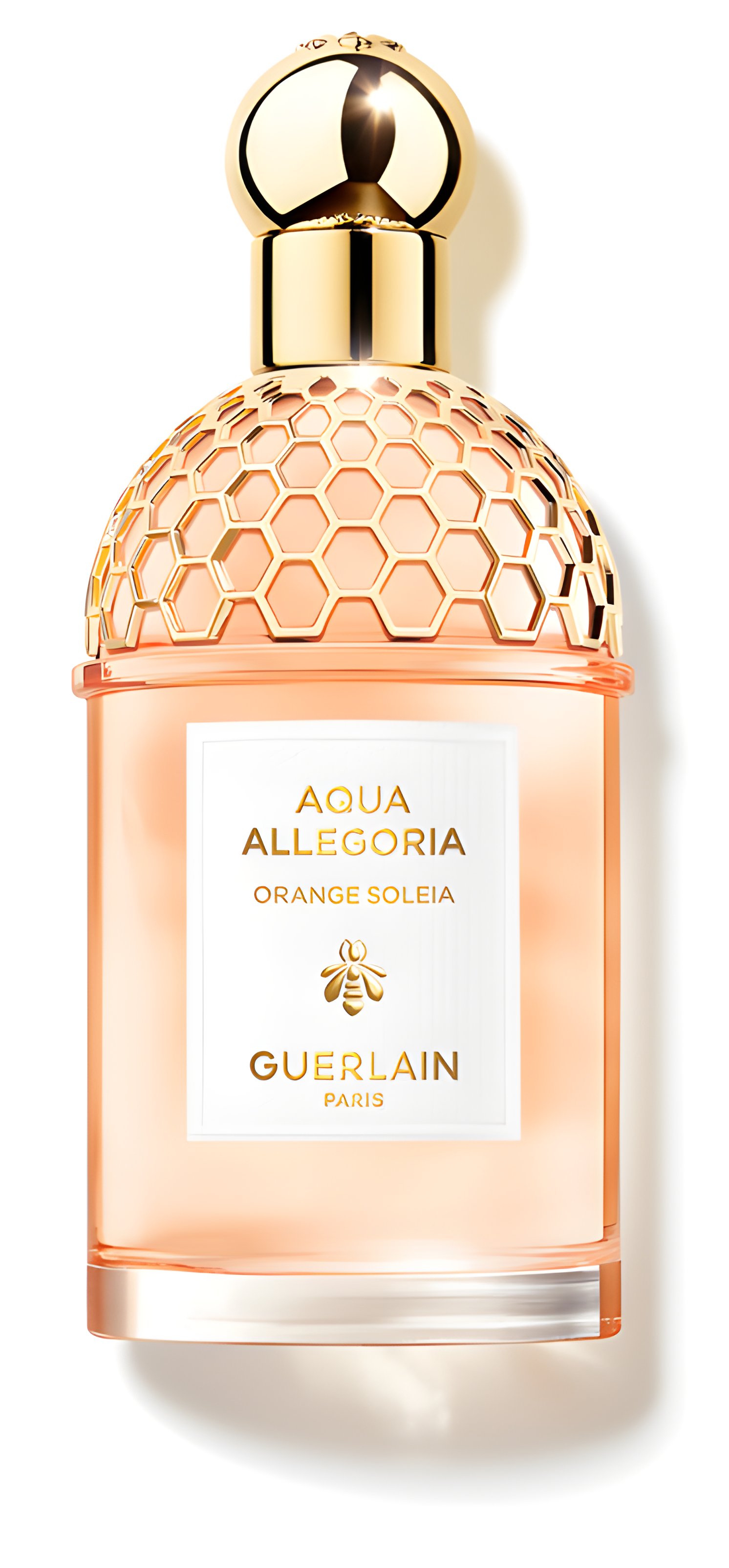 Picture of Aqua Allegoria Orange Soleia fragrance