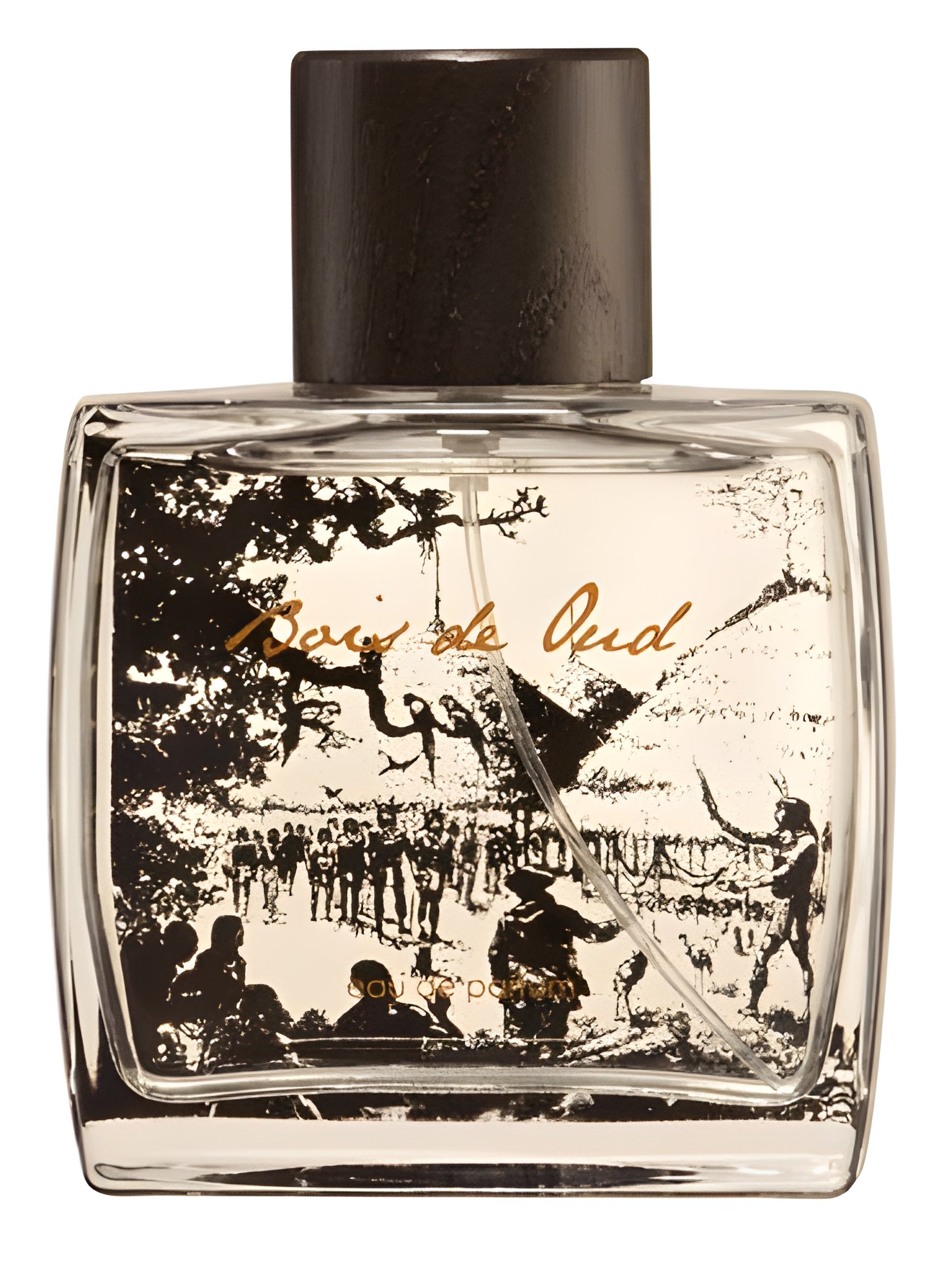 Picture of Bois de Oud fragrance