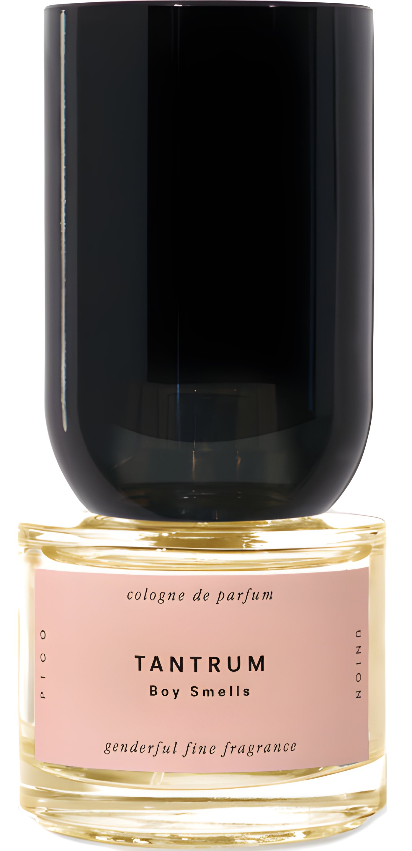 Picture of Tantrum fragrance