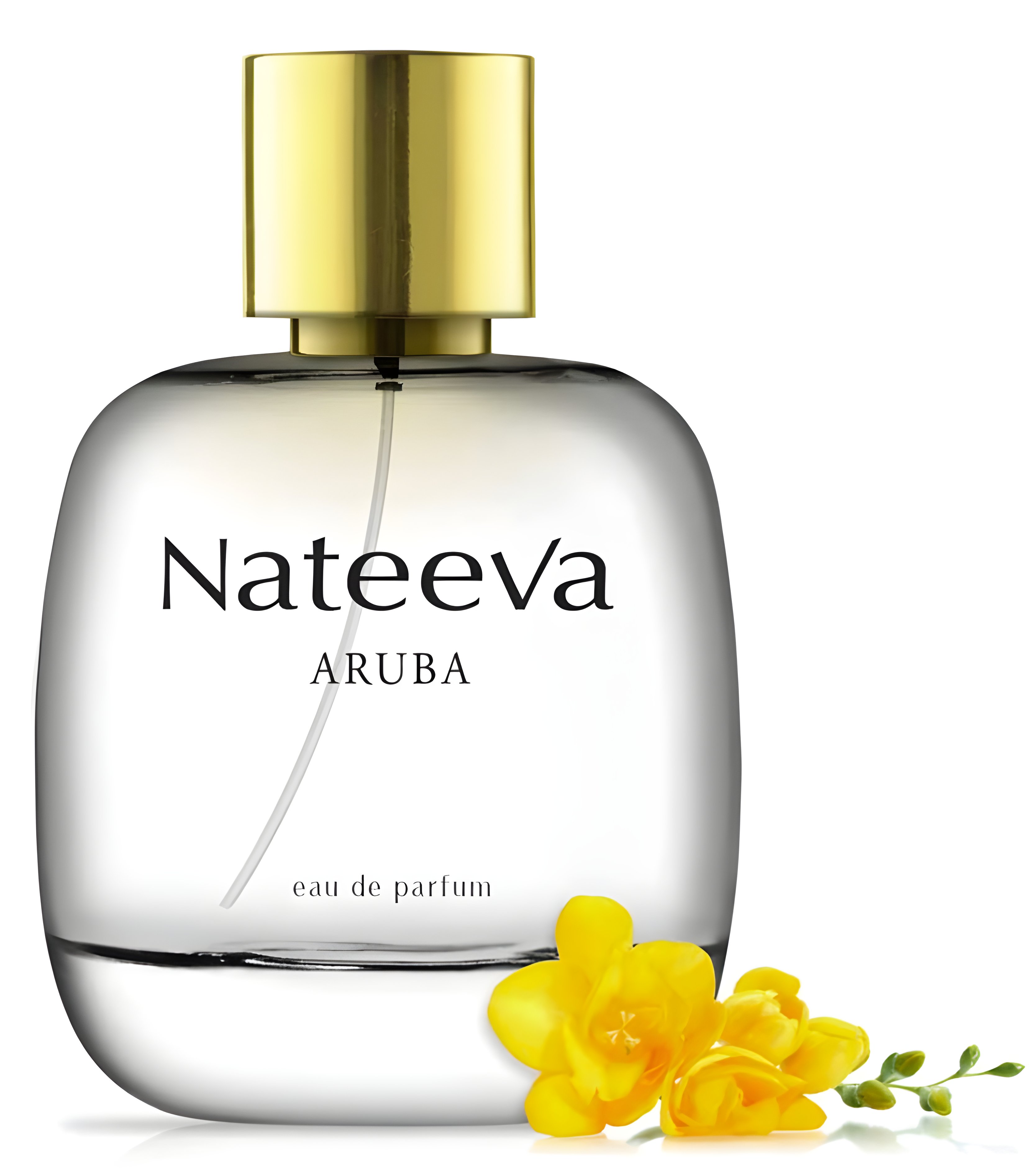 Picture of Aruba fragrance