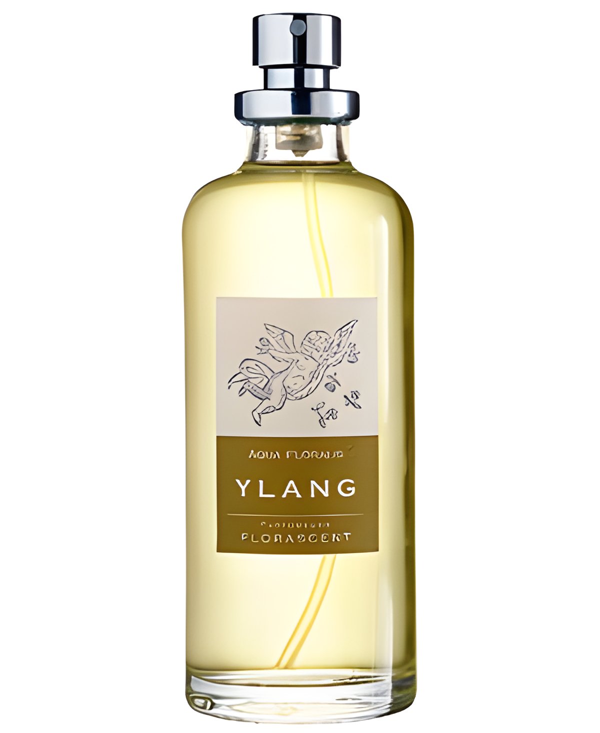 Picture of Ylang fragrance