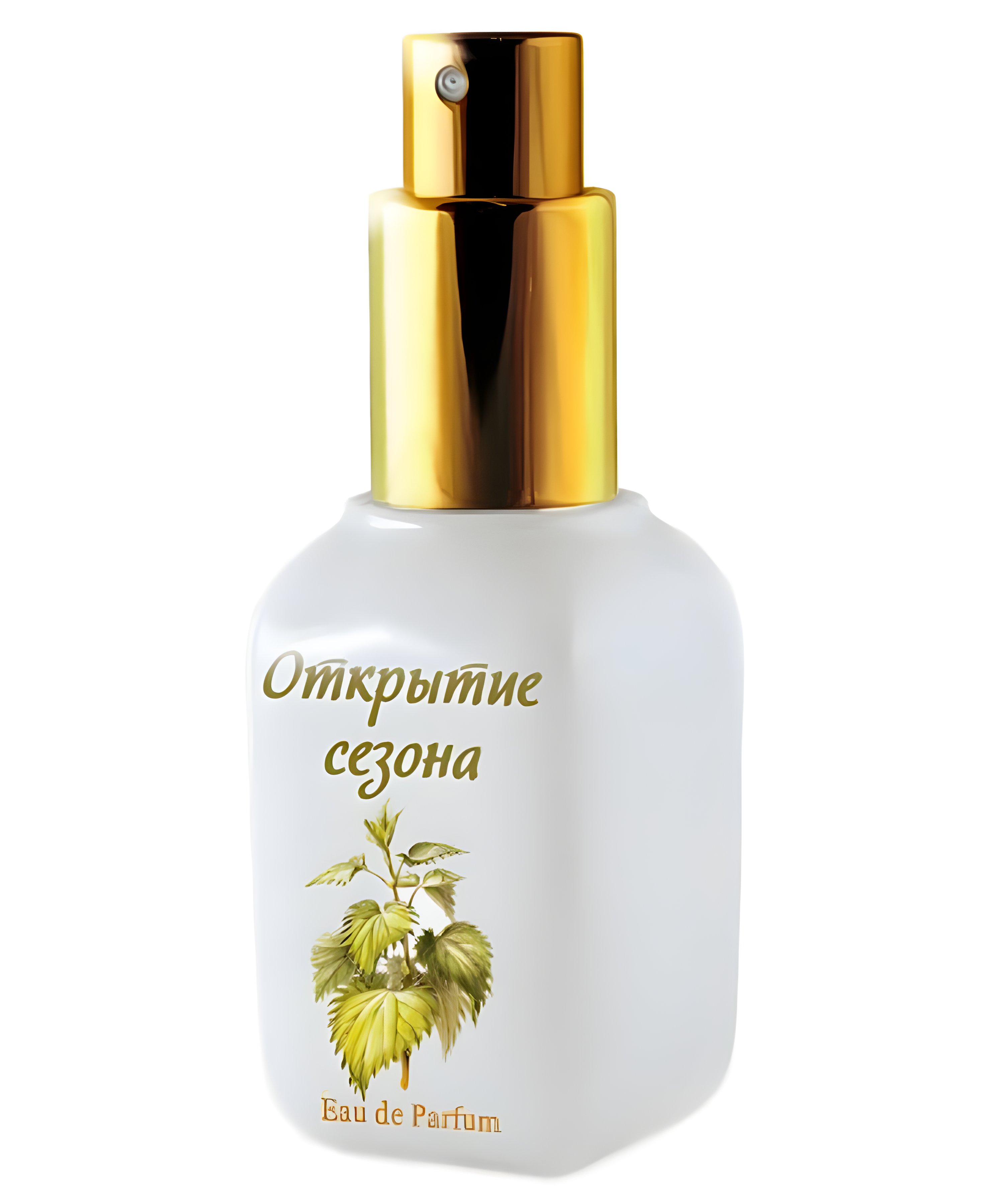 Picture of Season Opening (Открытие Cезона) fragrance