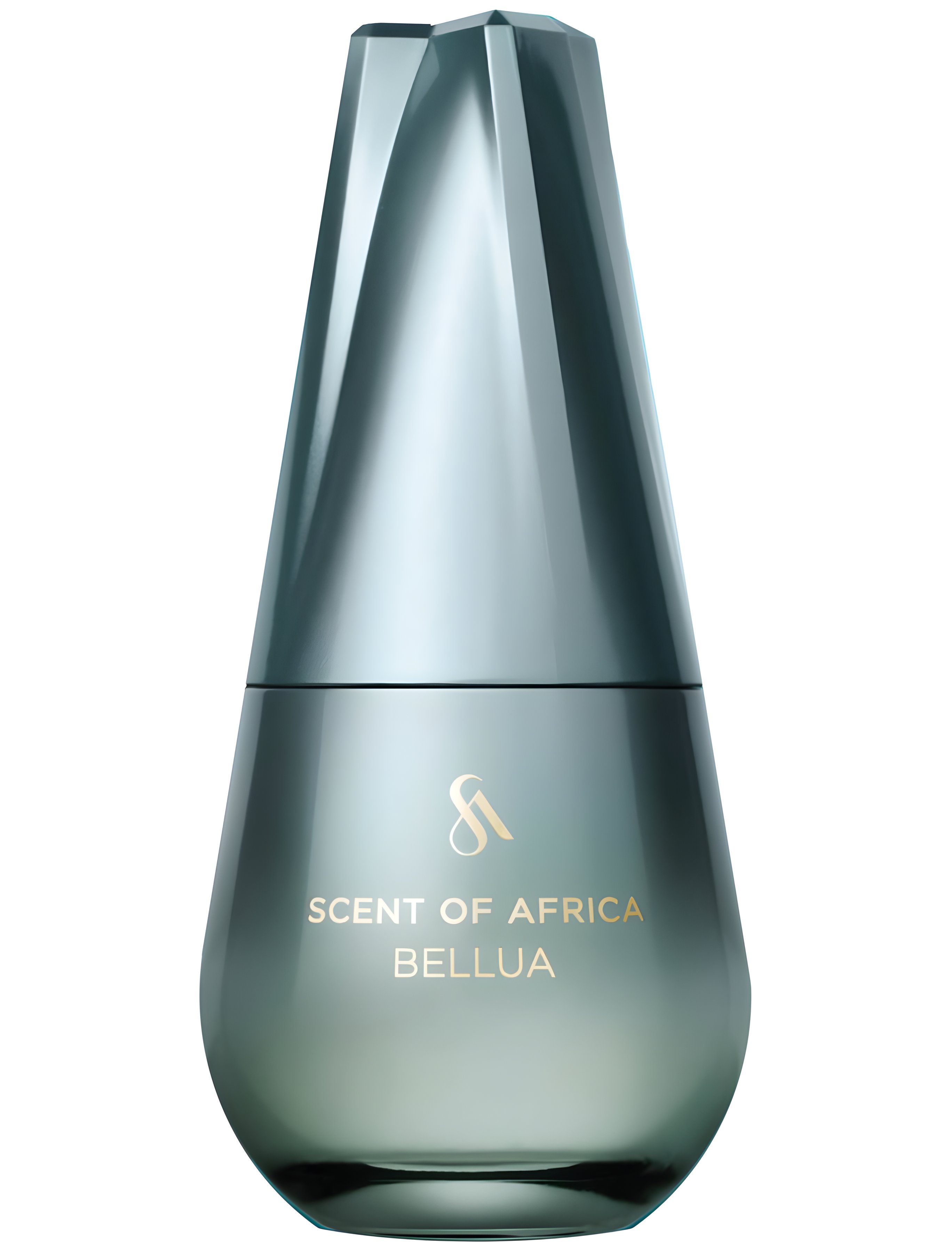 Picture of Bellua fragrance