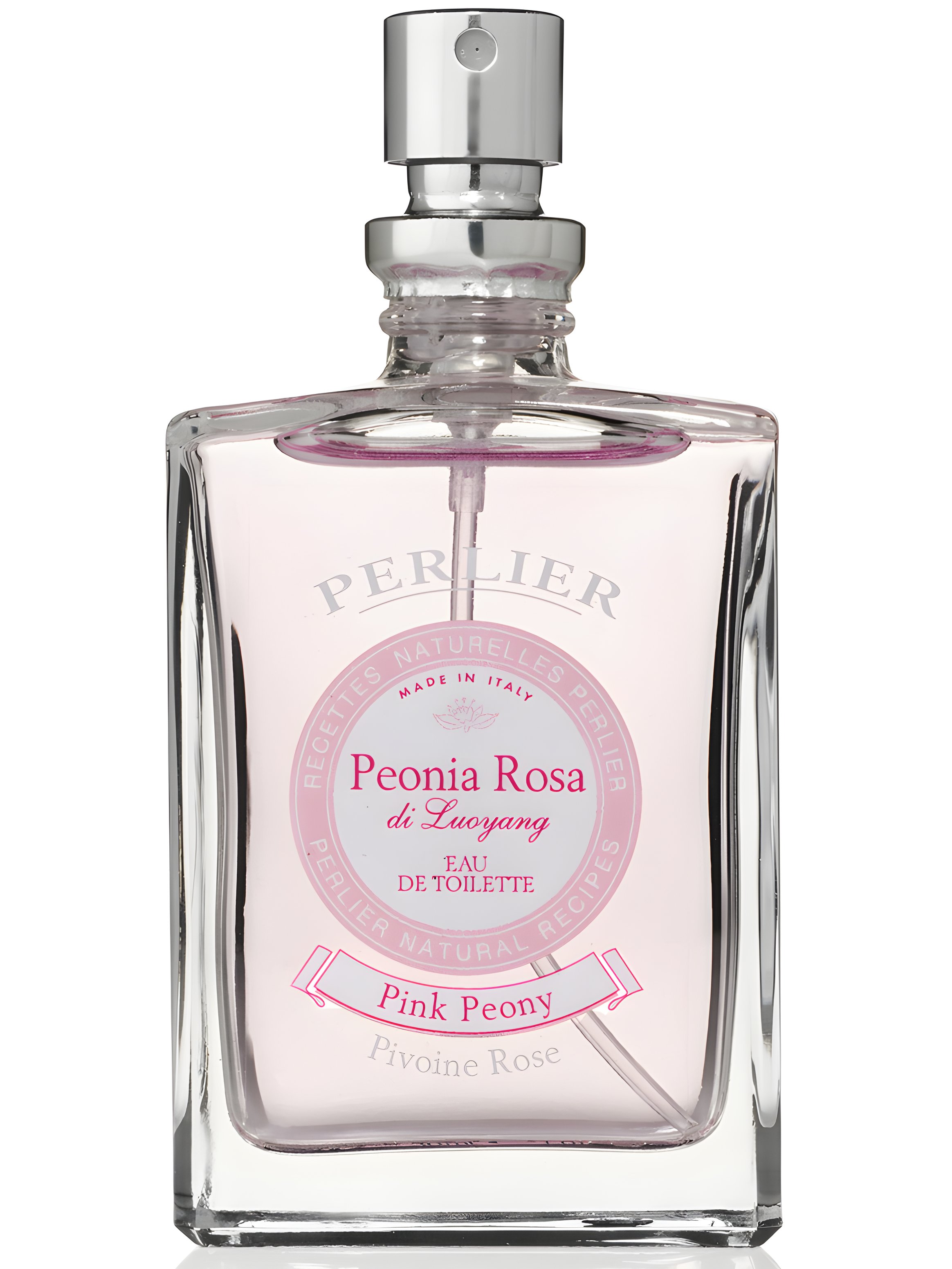 Picture of Peonia Rosa fragrance