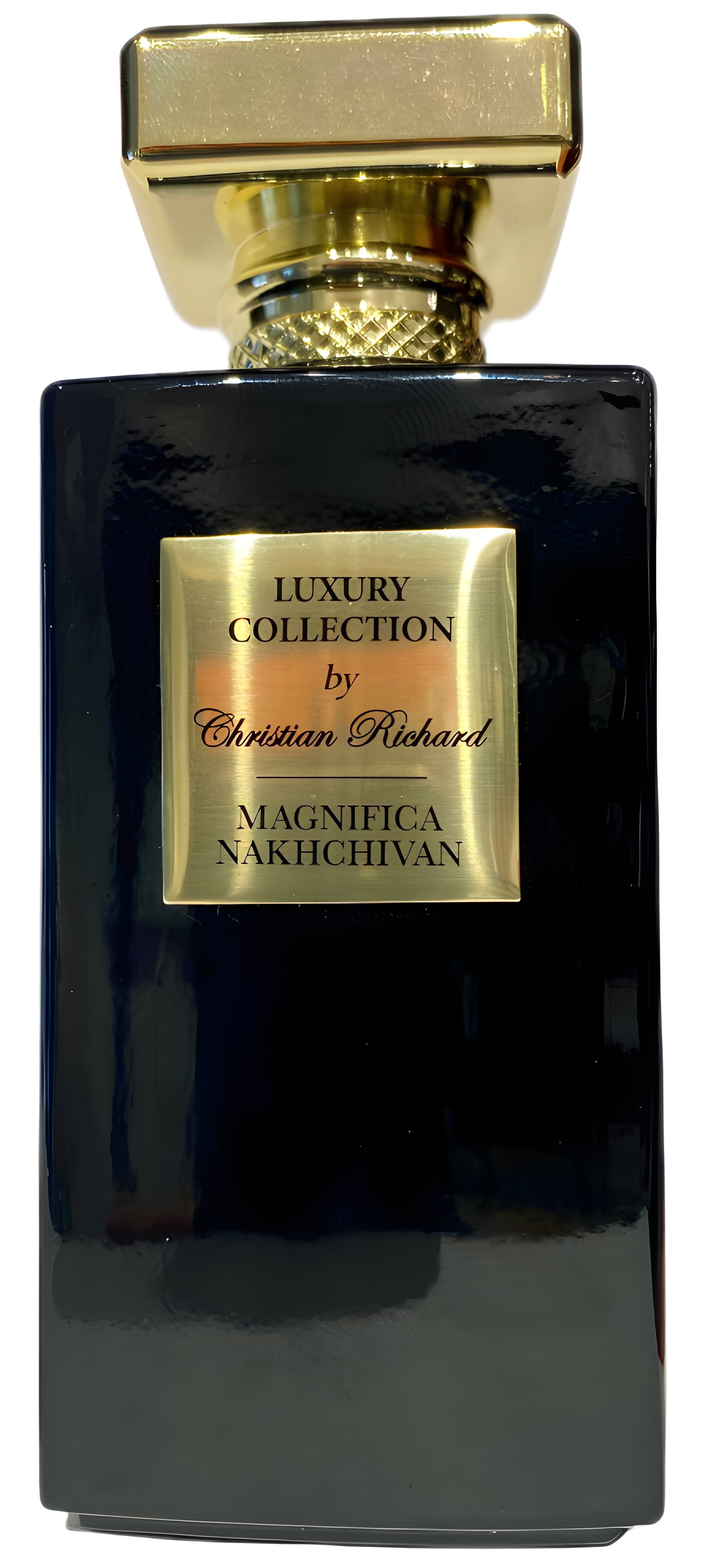 Picture of Magnifica Nakhchivan fragrance