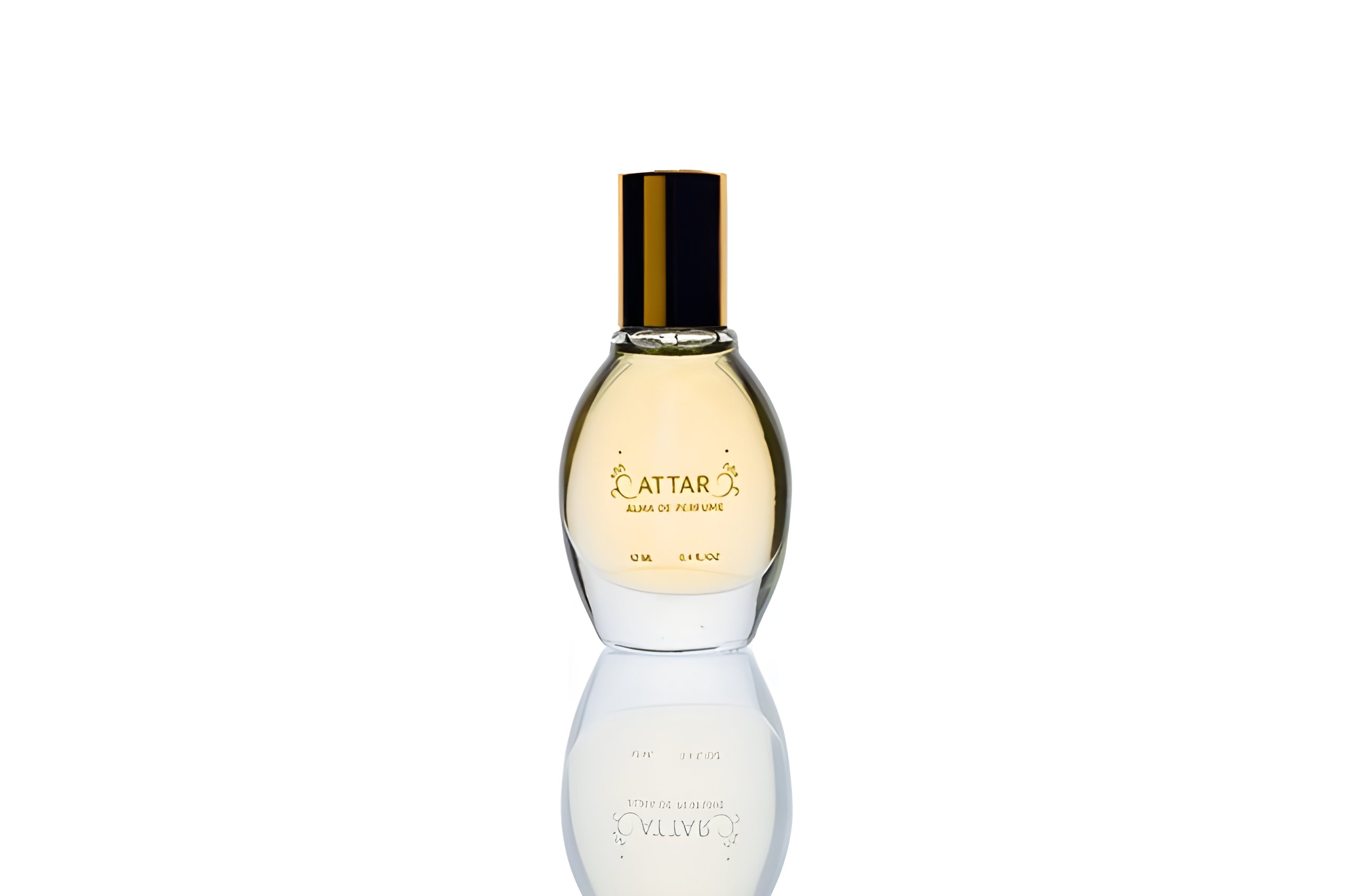 Picture of Citric Mumbai fragrance