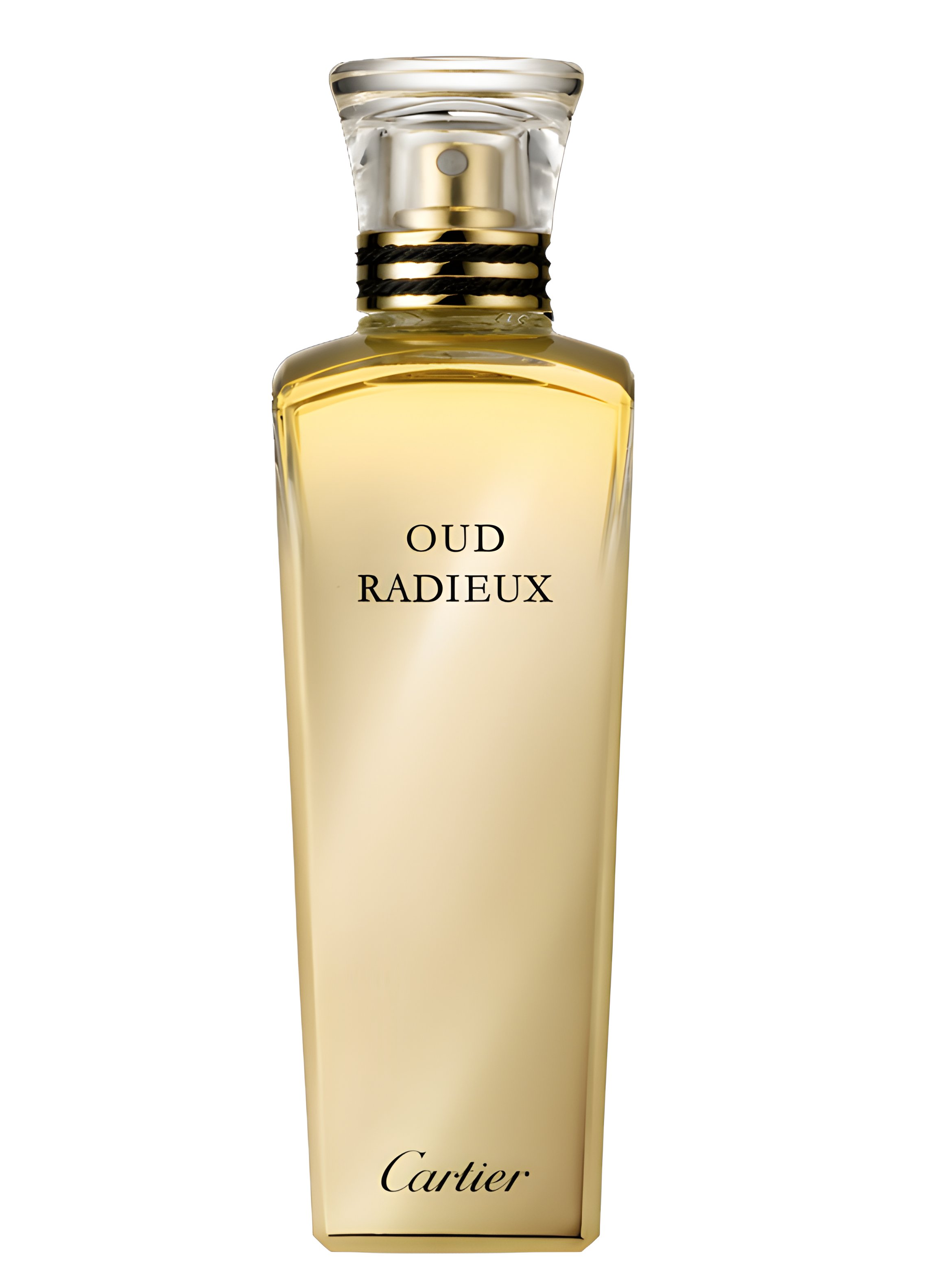 Picture of Oud Radieux fragrance