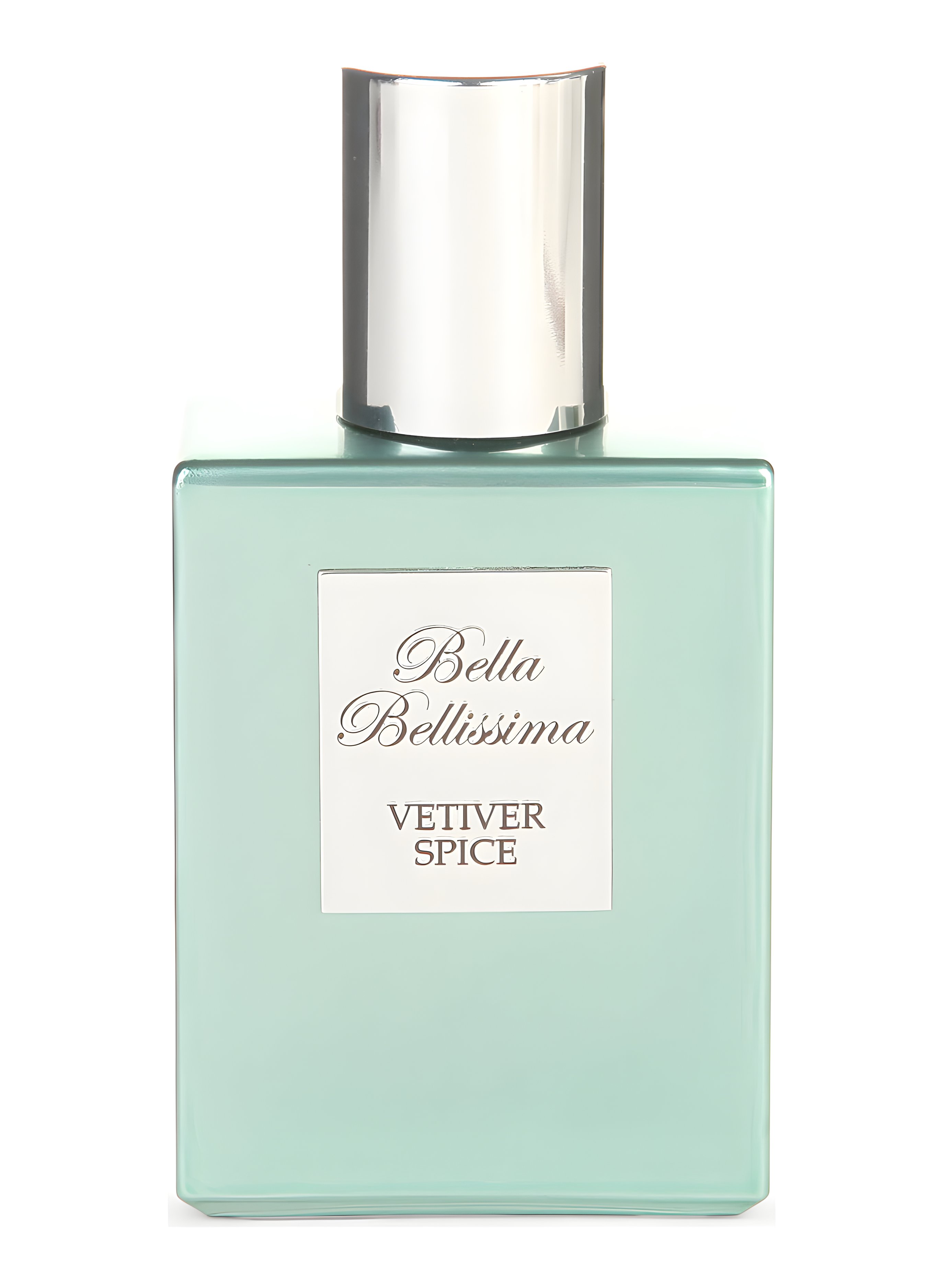 Picture of Vetiver Spice fragrance