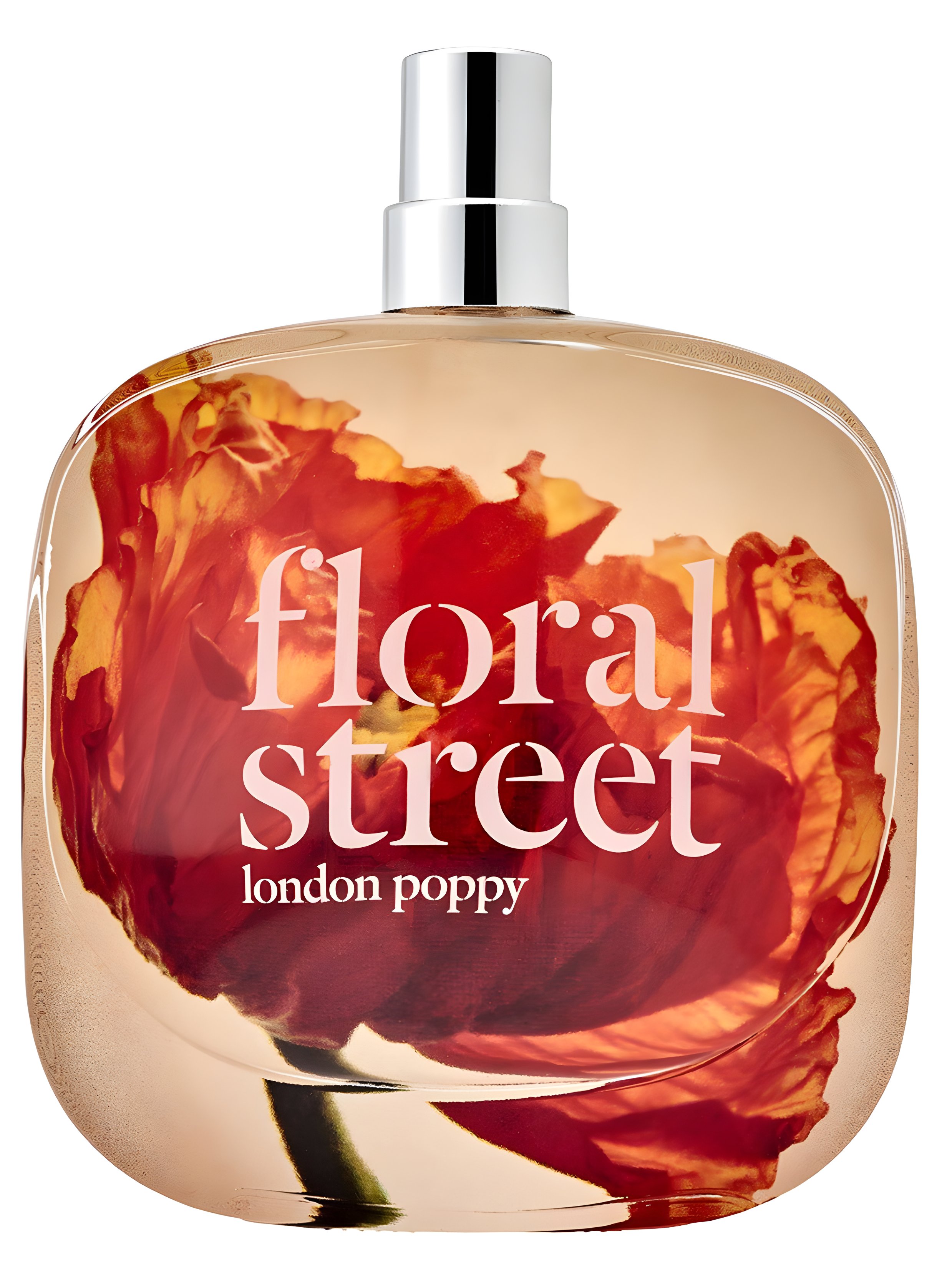 Picture of London Poppy fragrance