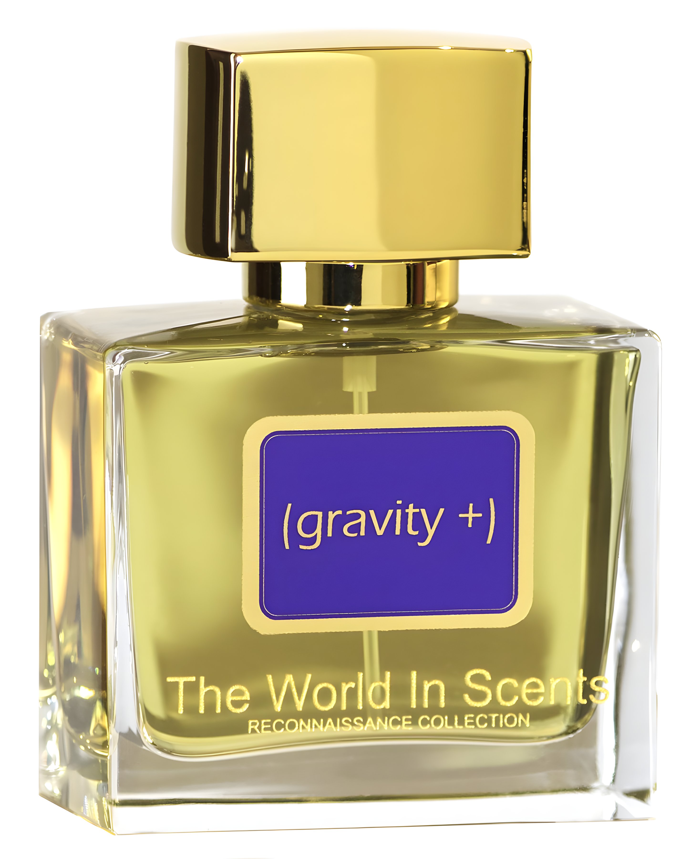 Picture of Gravity Plus fragrance