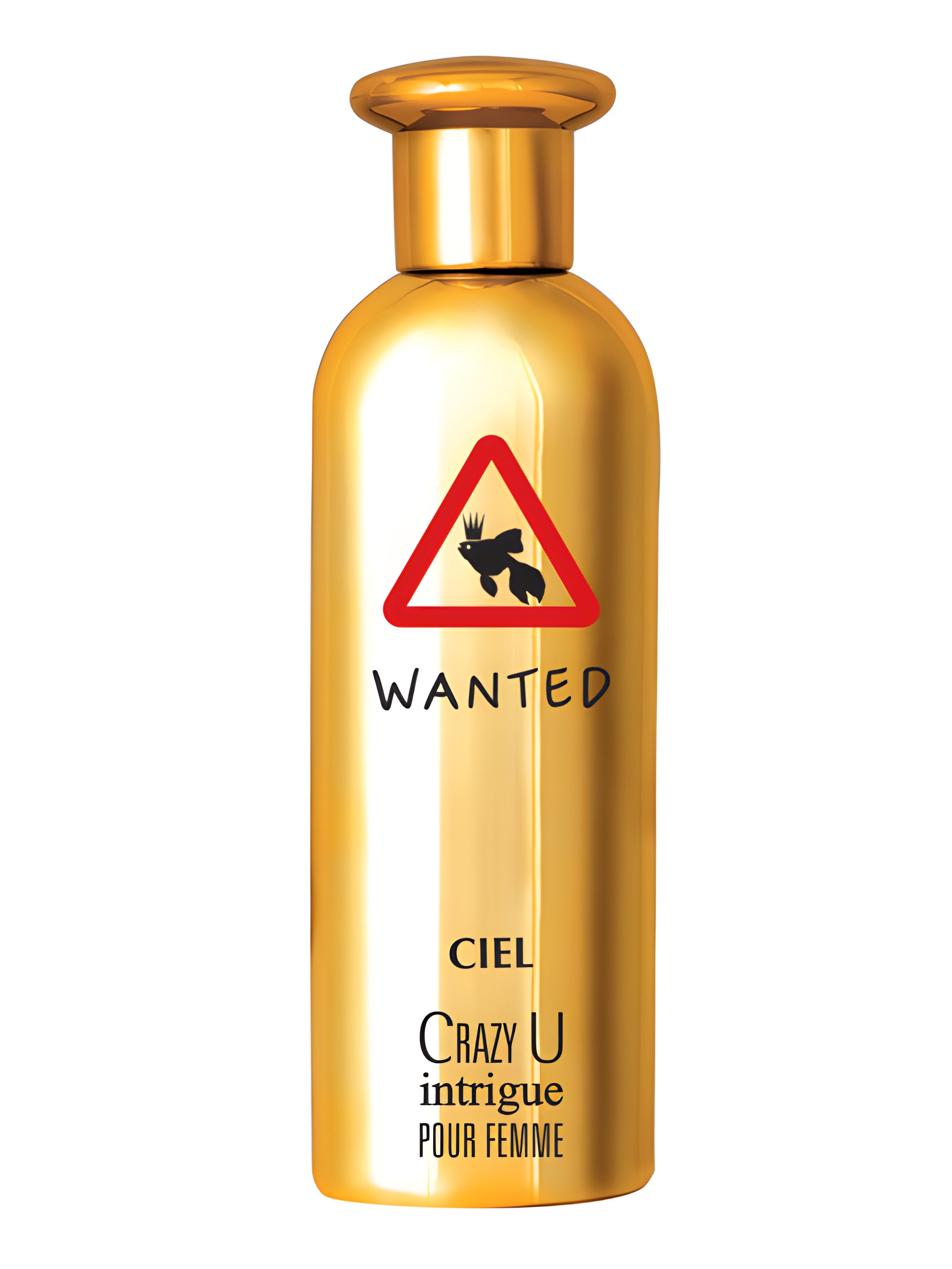 Picture of Crazy U Intrigue fragrance