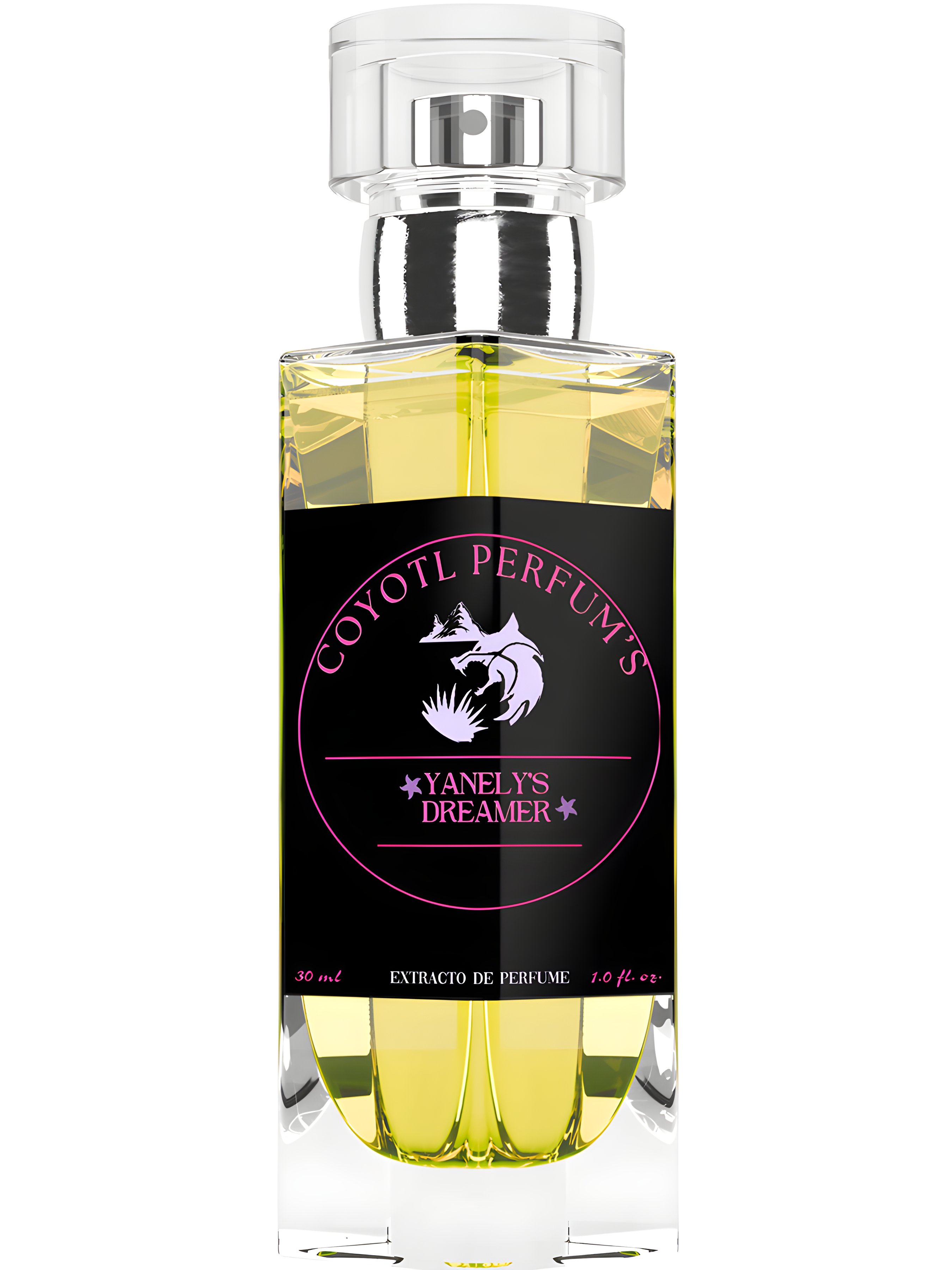 Picture of Yanelys Dreamer fragrance