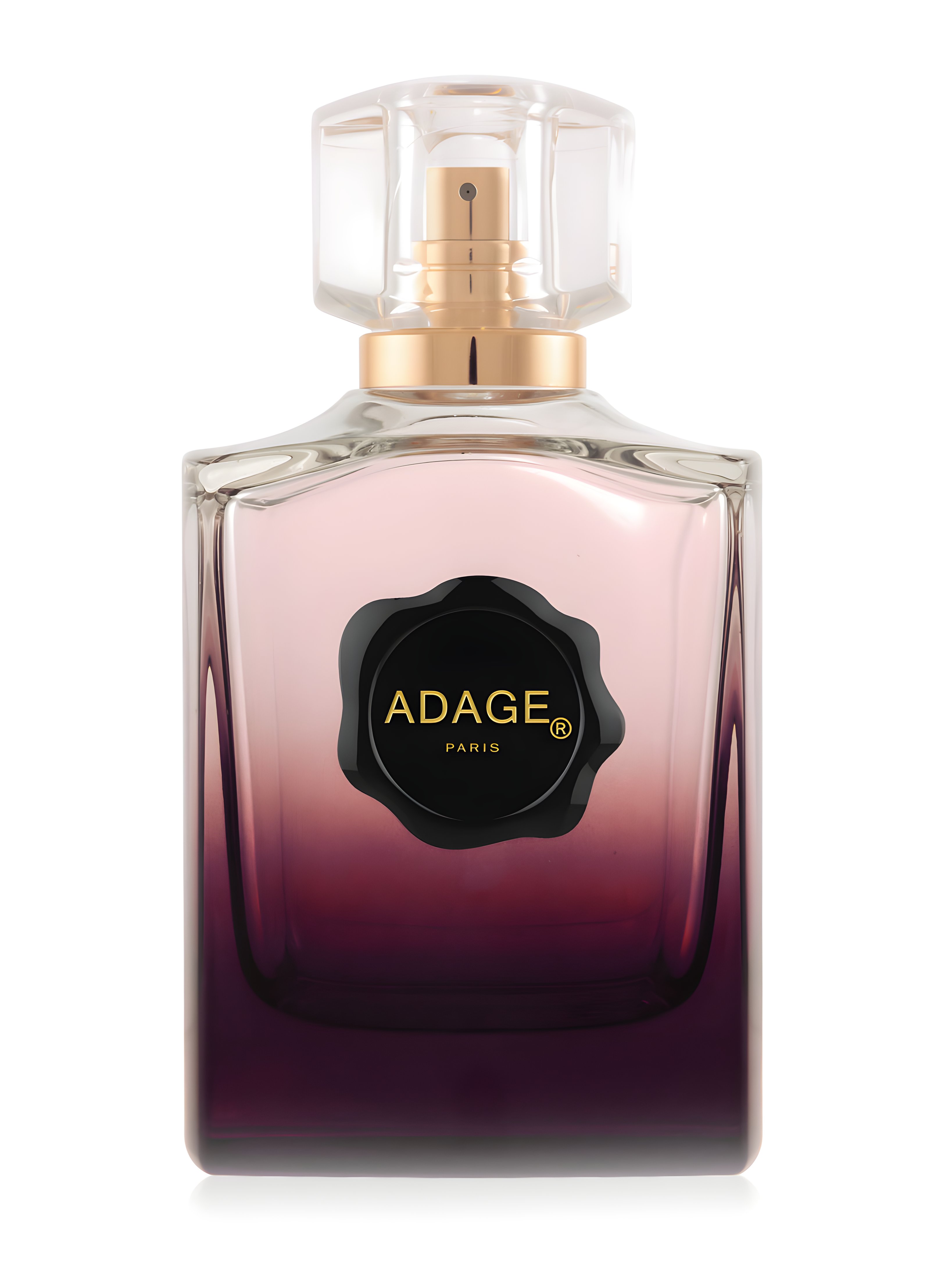 Picture of Adage fragrance