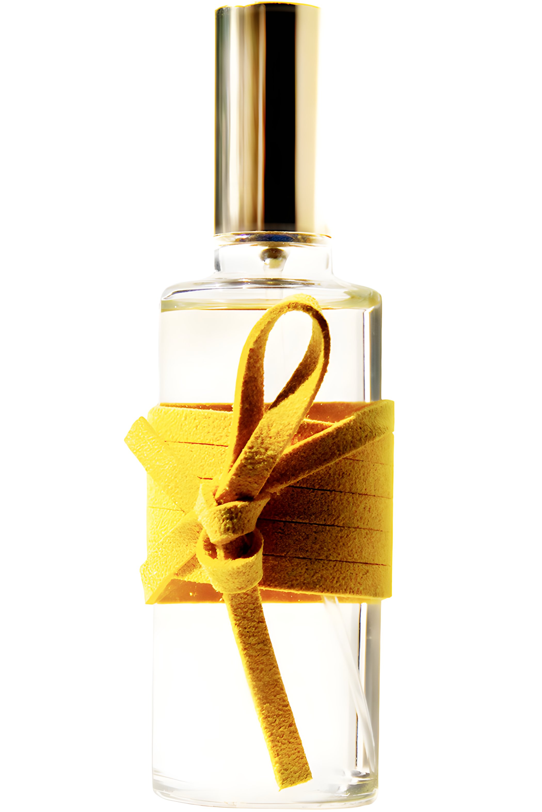 Picture of Attache-Moi 55 fragrance