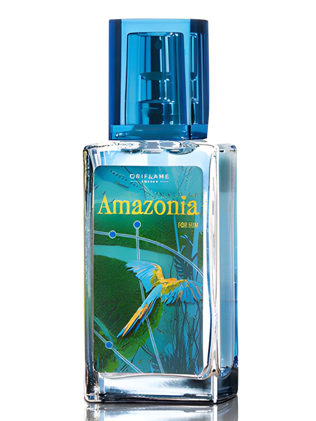 Picture of Amazonia for Him fragrance