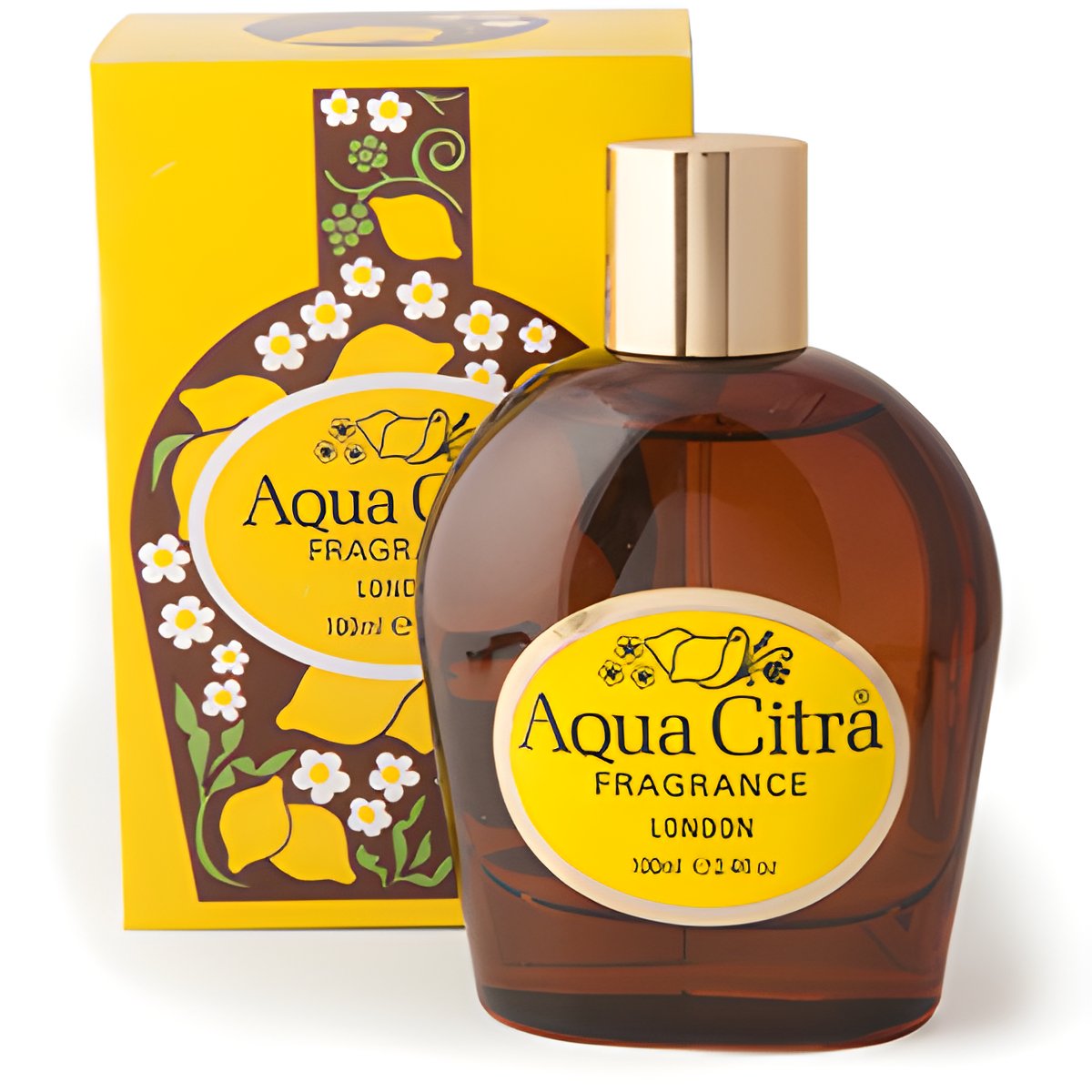 Picture of Aqua Citra fragrance