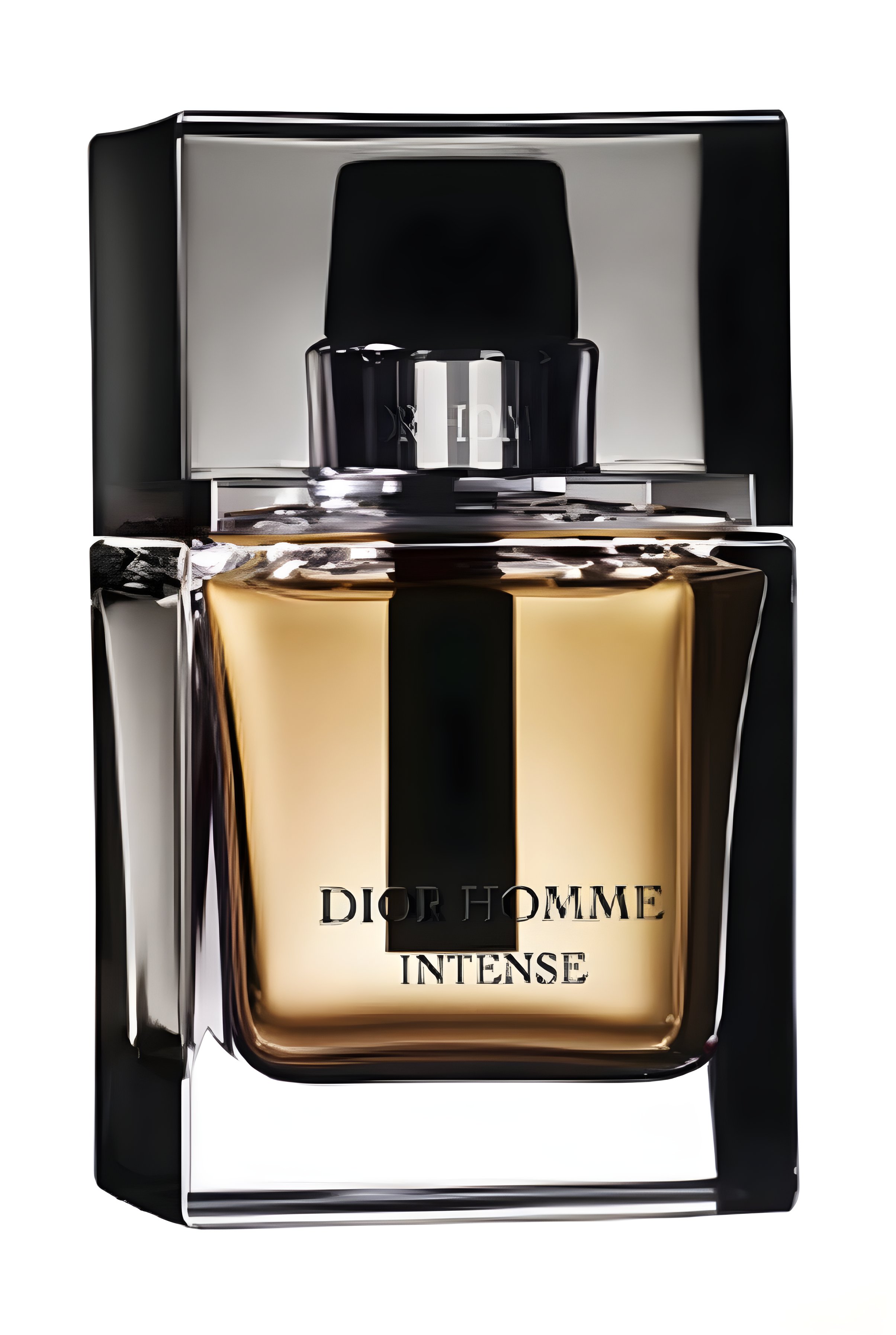 Picture of Dior Homme Intense 2007 fragrance