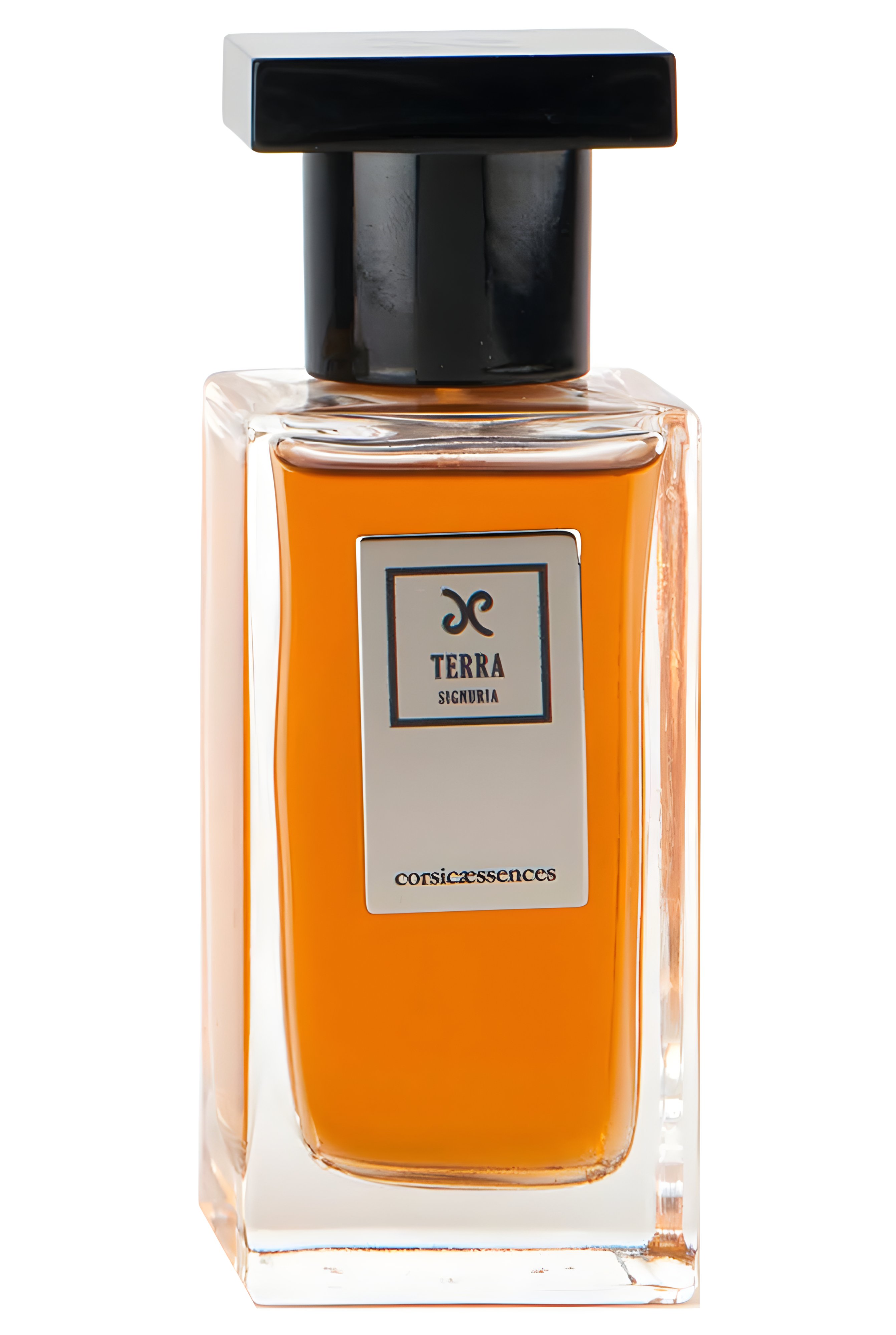 Picture of Terra signurìa fragrance