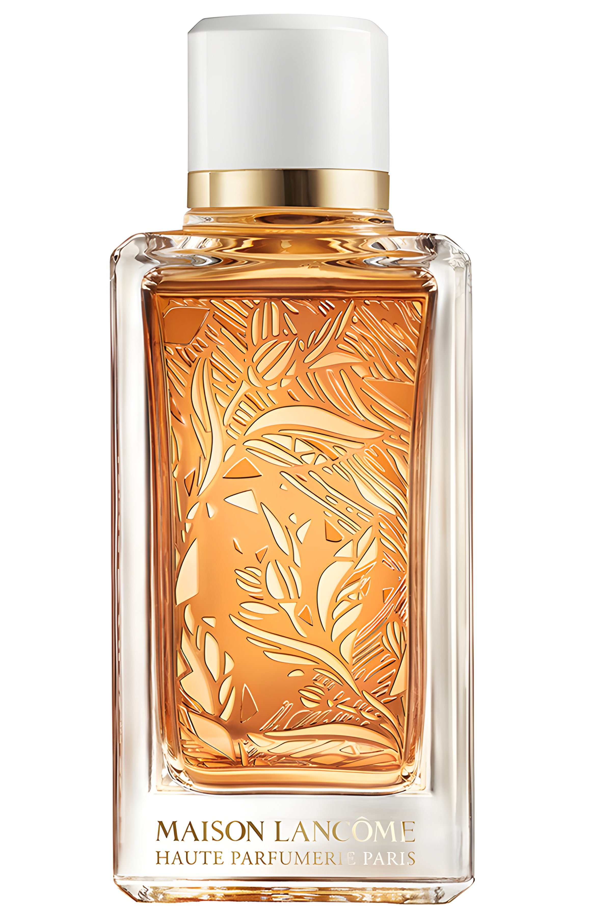 Picture of Santal Kardamon fragrance