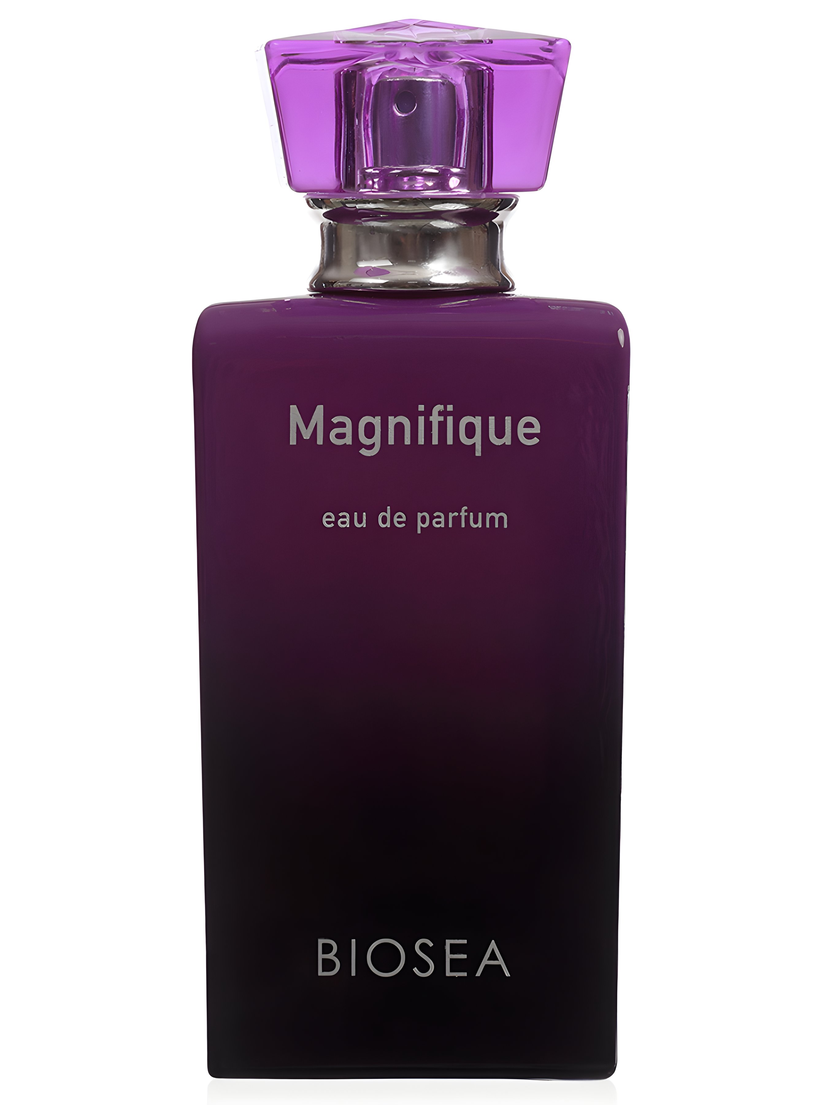 Picture of Magnifique fragrance