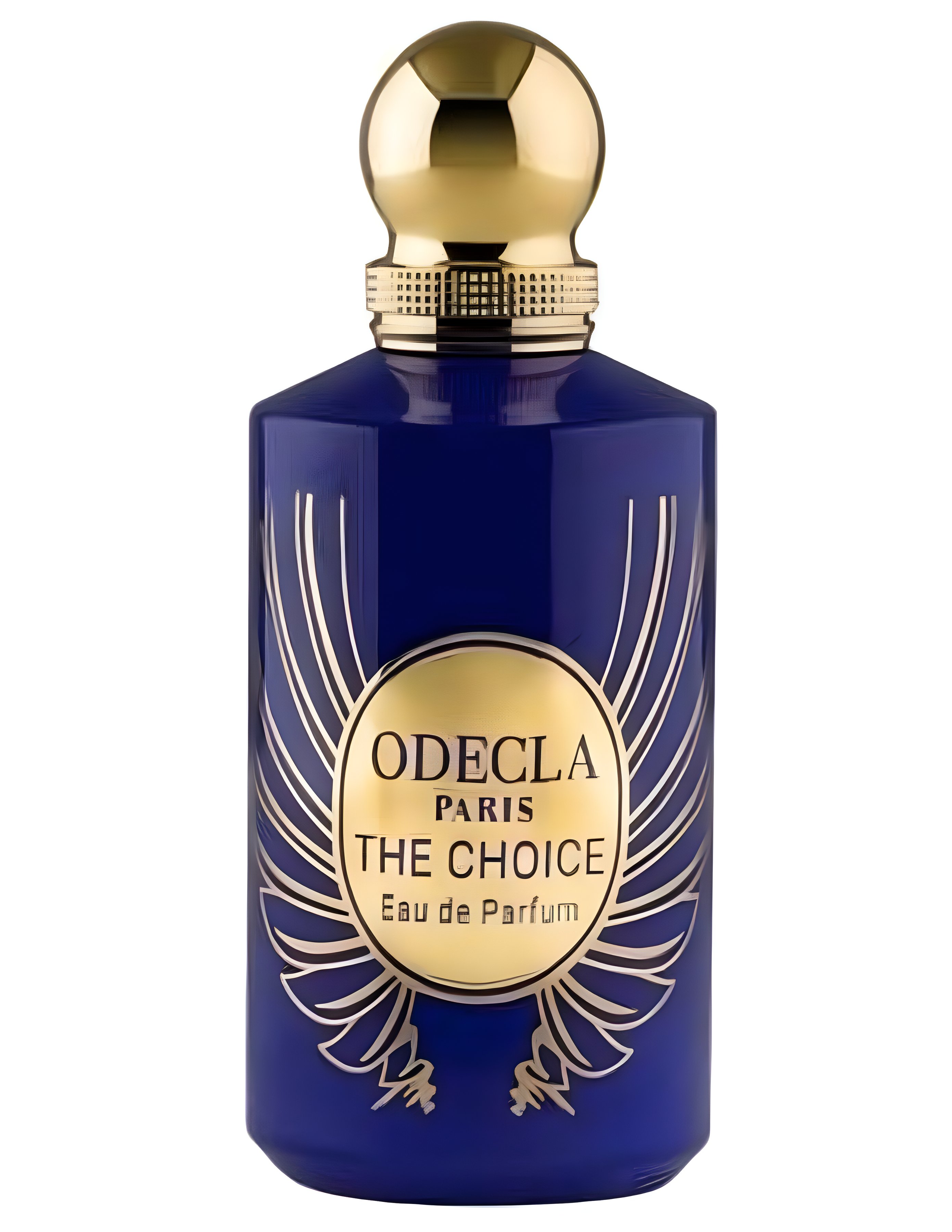 Picture of The Choice fragrance