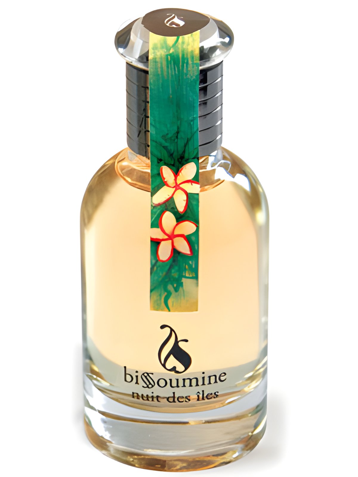 Picture of Nuit Des Iles fragrance