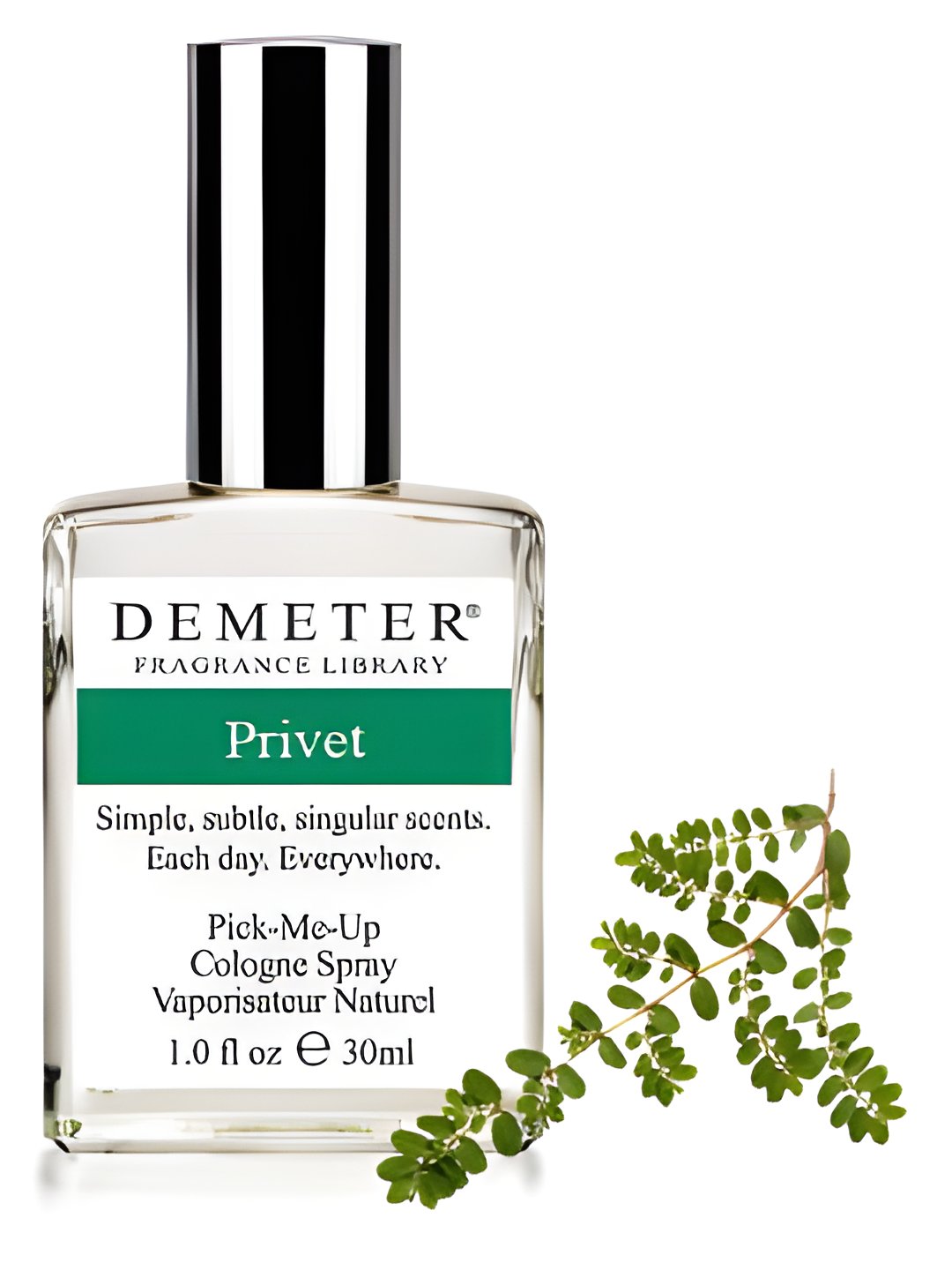 Picture of Privet fragrance