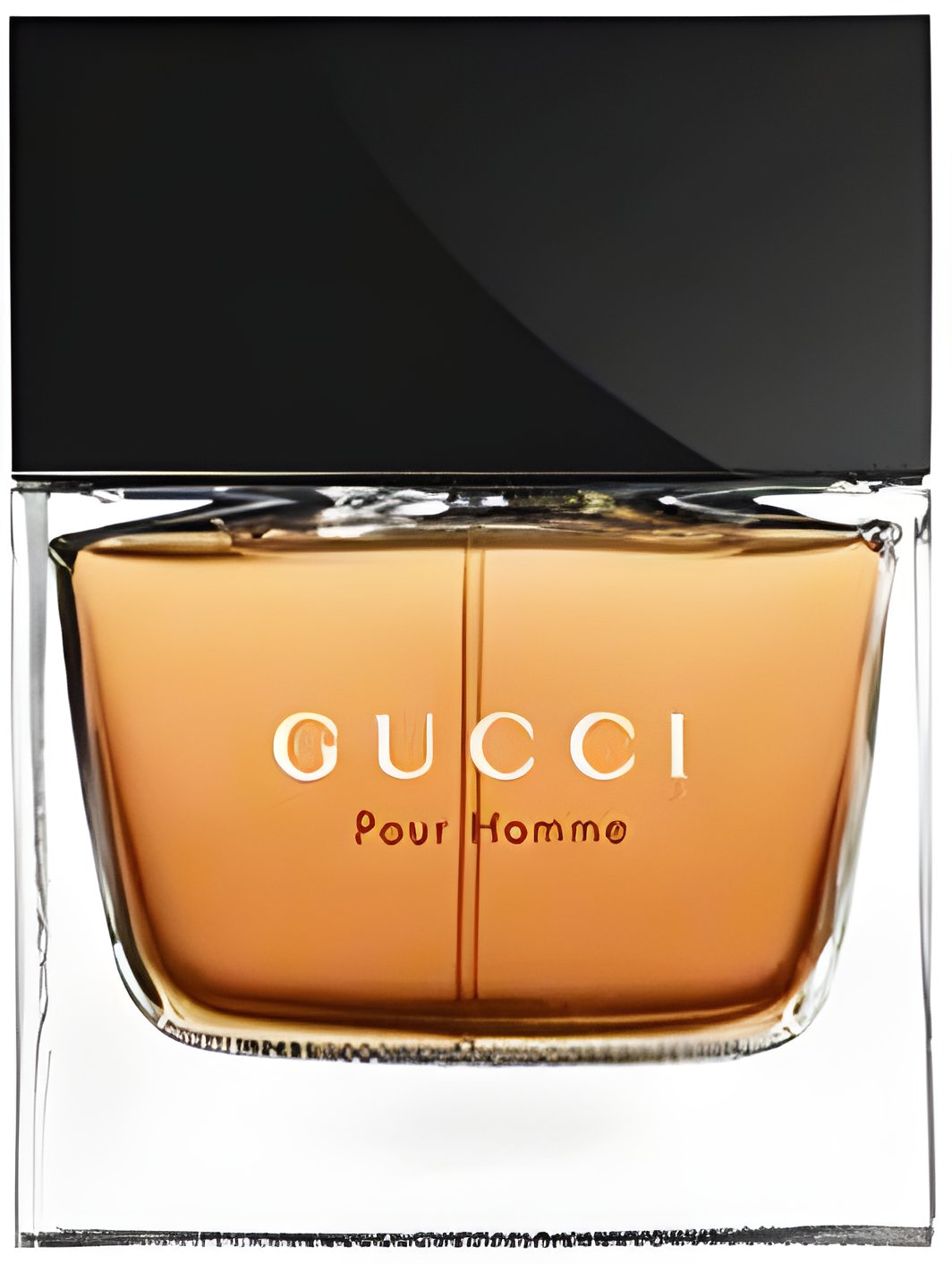 Picture of Gucci Pour Homme (2003) fragrance