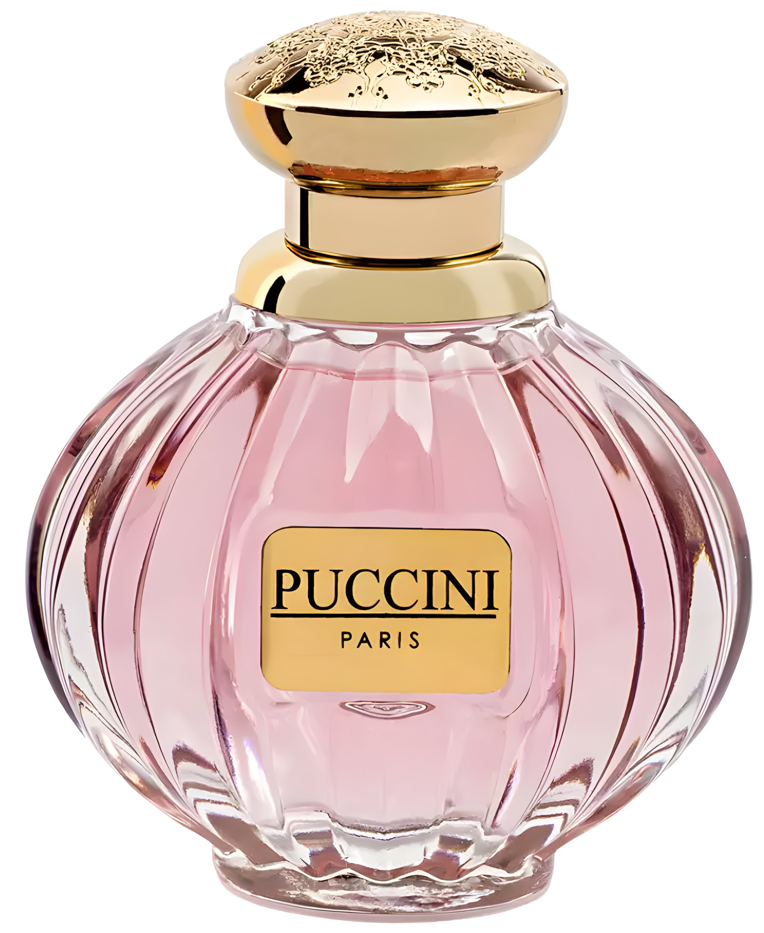 Picture of Puccini fragrance