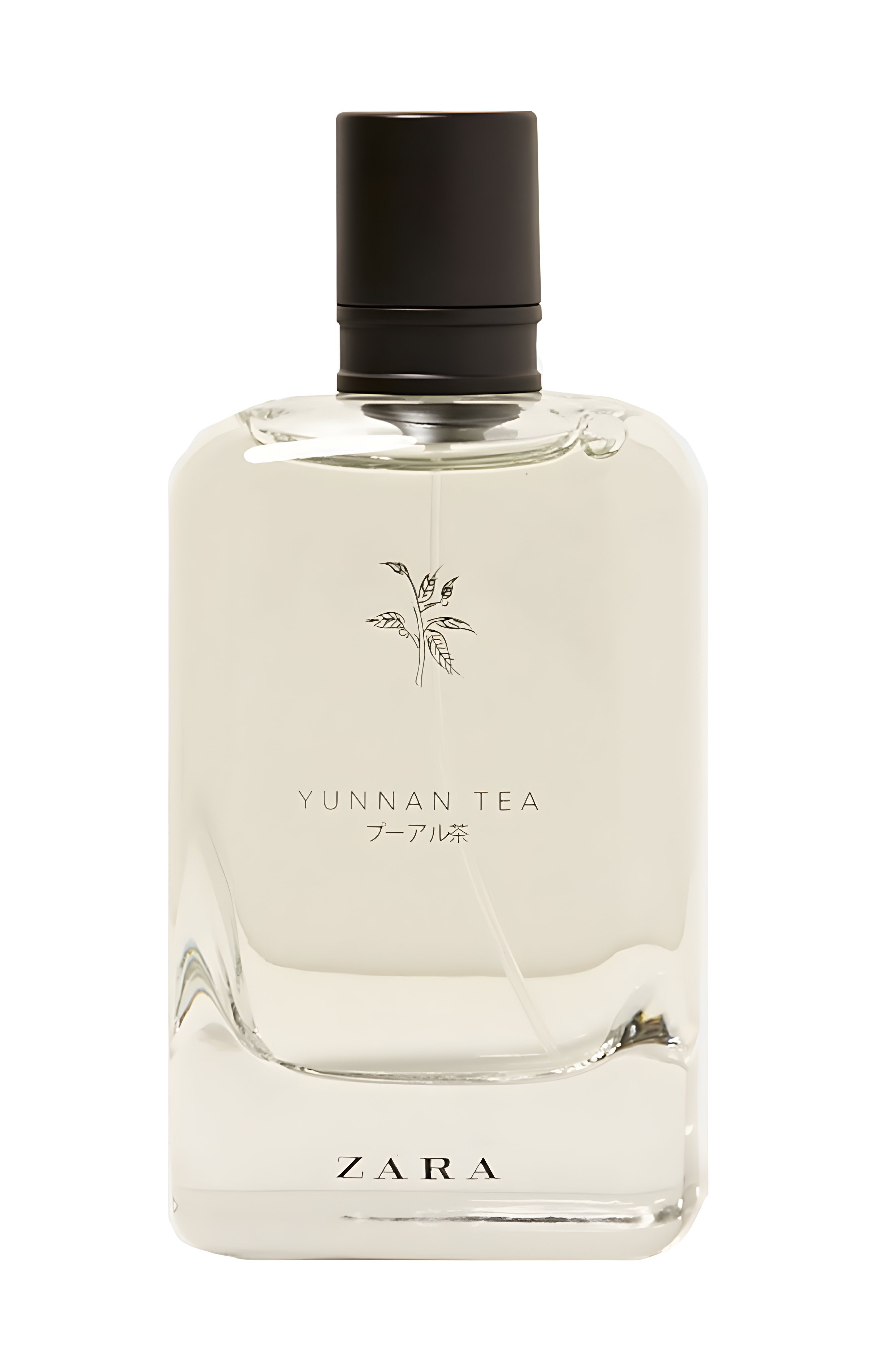 Picture of Yunnan Tea fragrance