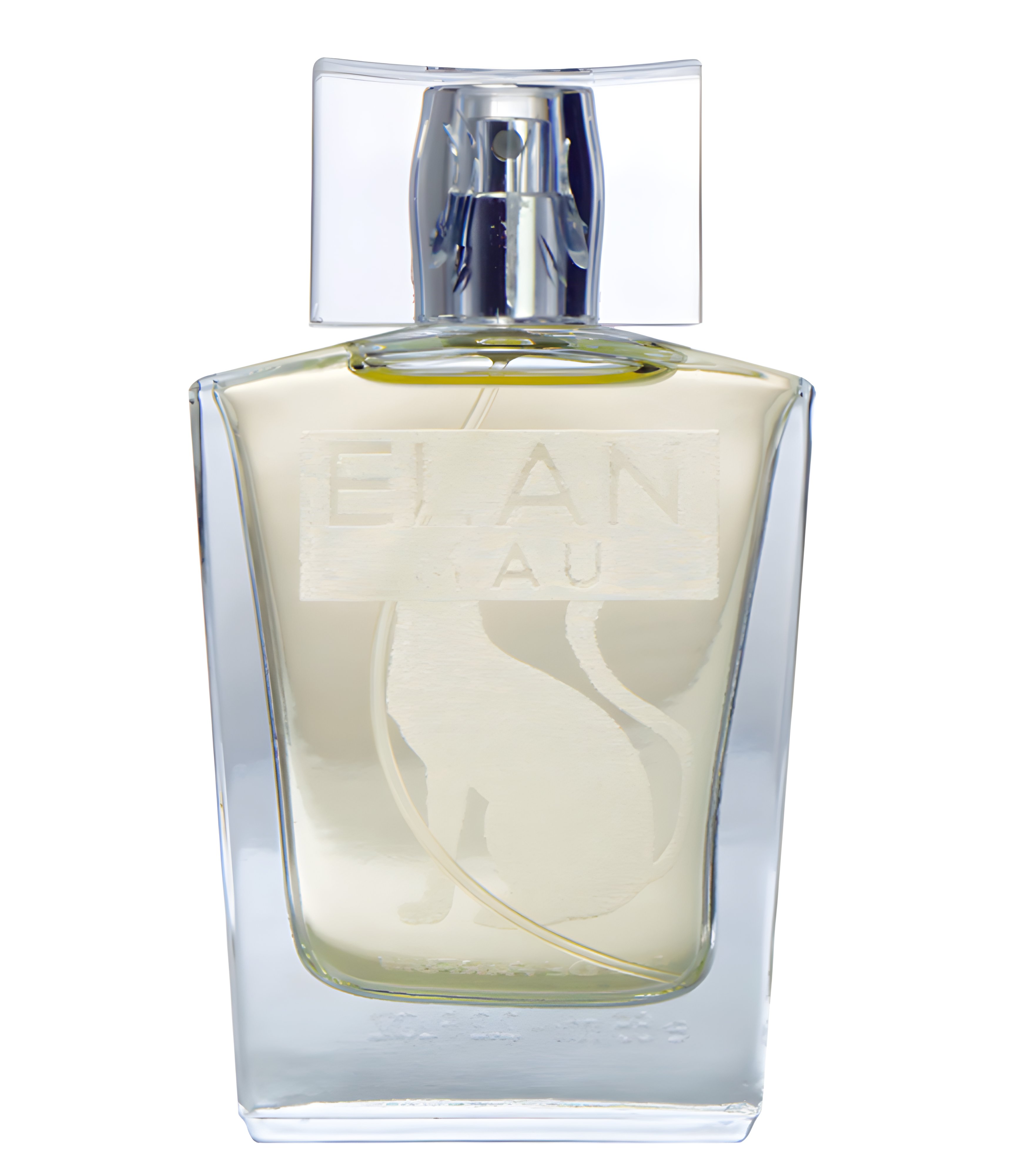 Picture of Mau Elan fragrance