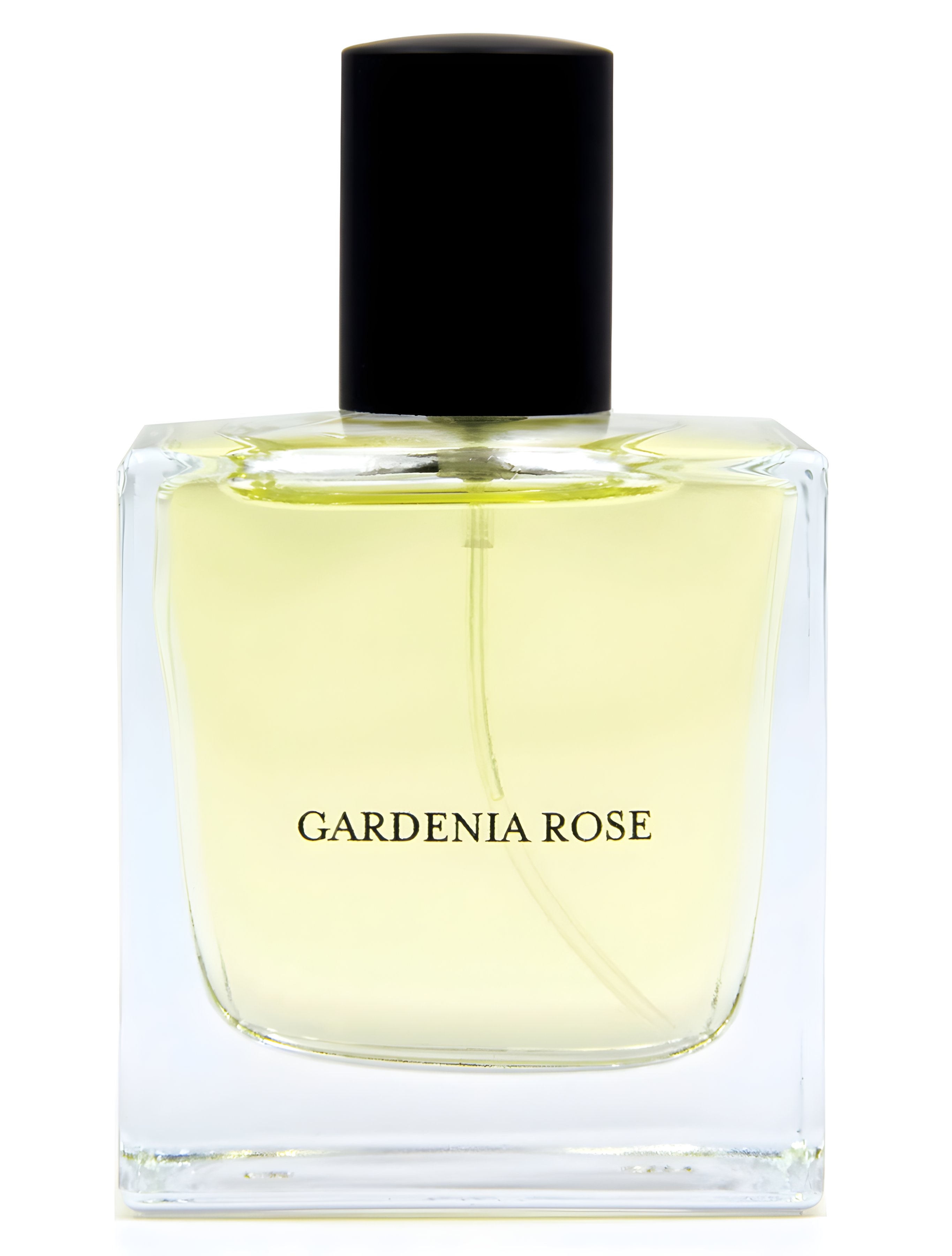 Picture of Gardenia Rose fragrance