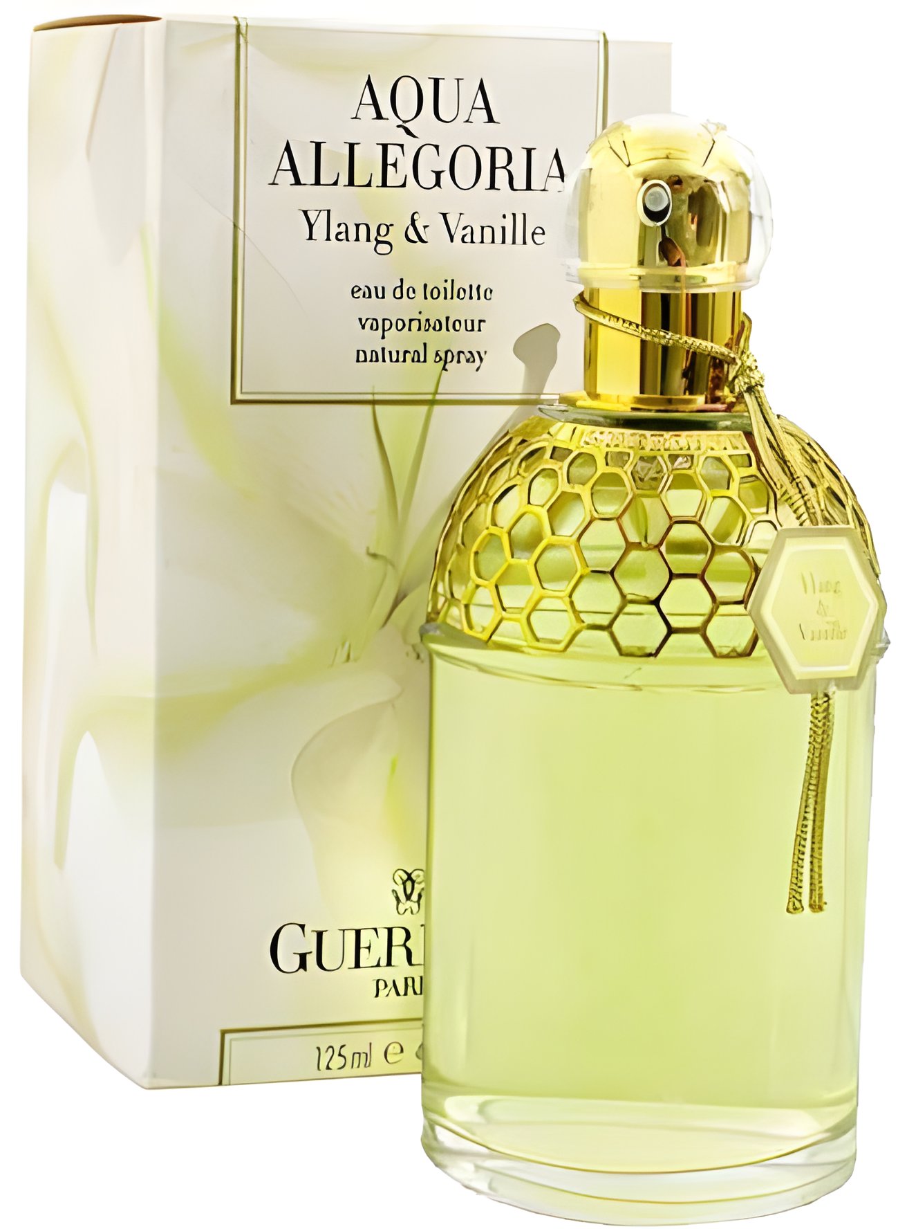 Picture of Aqua Allegoria Ylang & Vanille fragrance