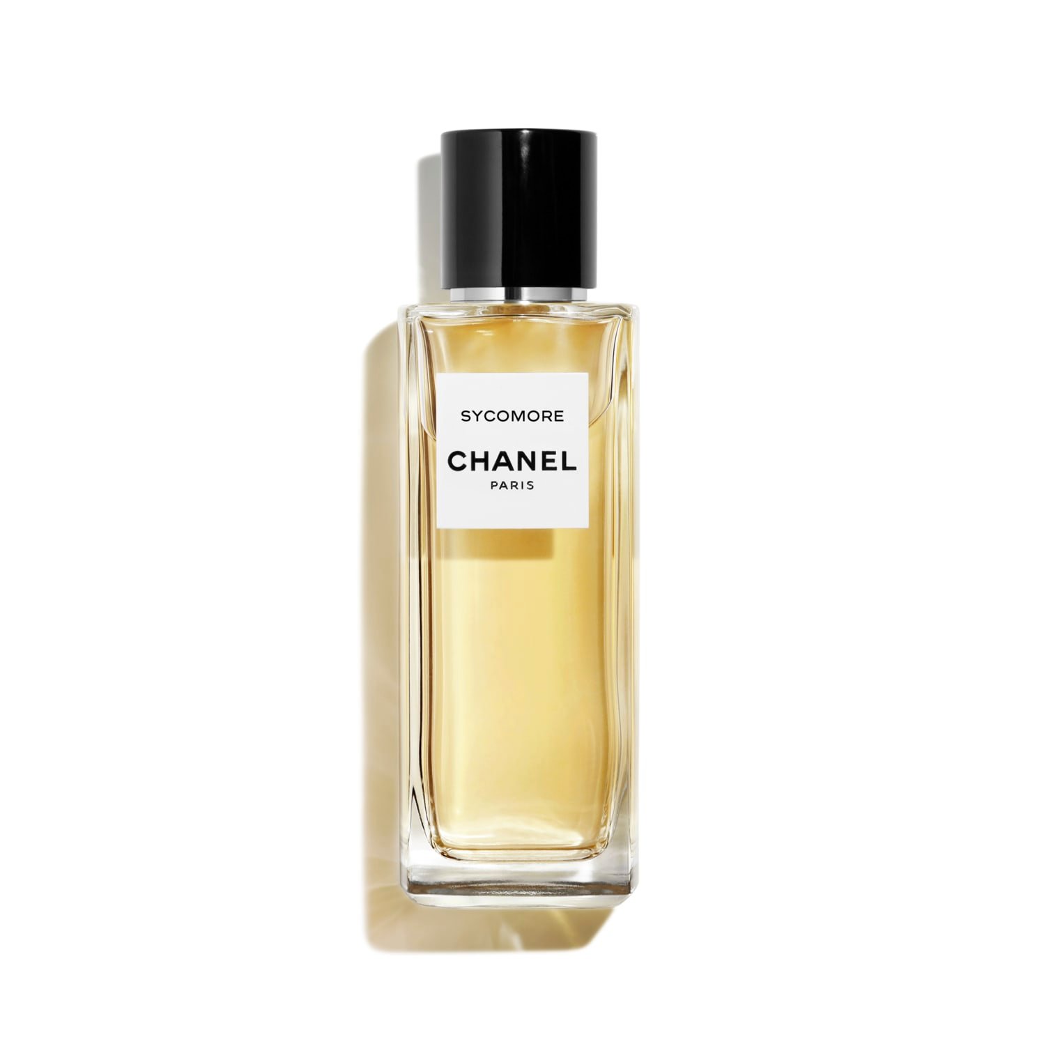 Picture of Sycomore Eau de Parfum fragrance