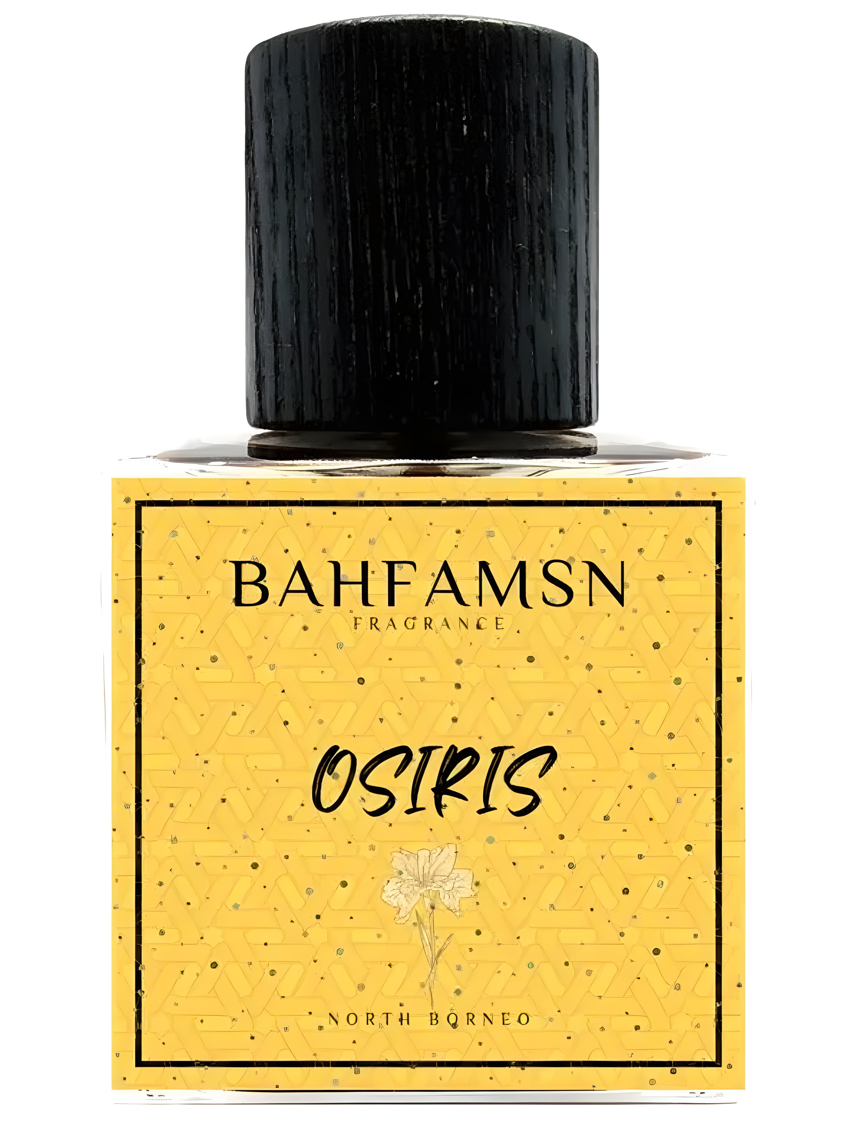 Picture of Osiris fragrance