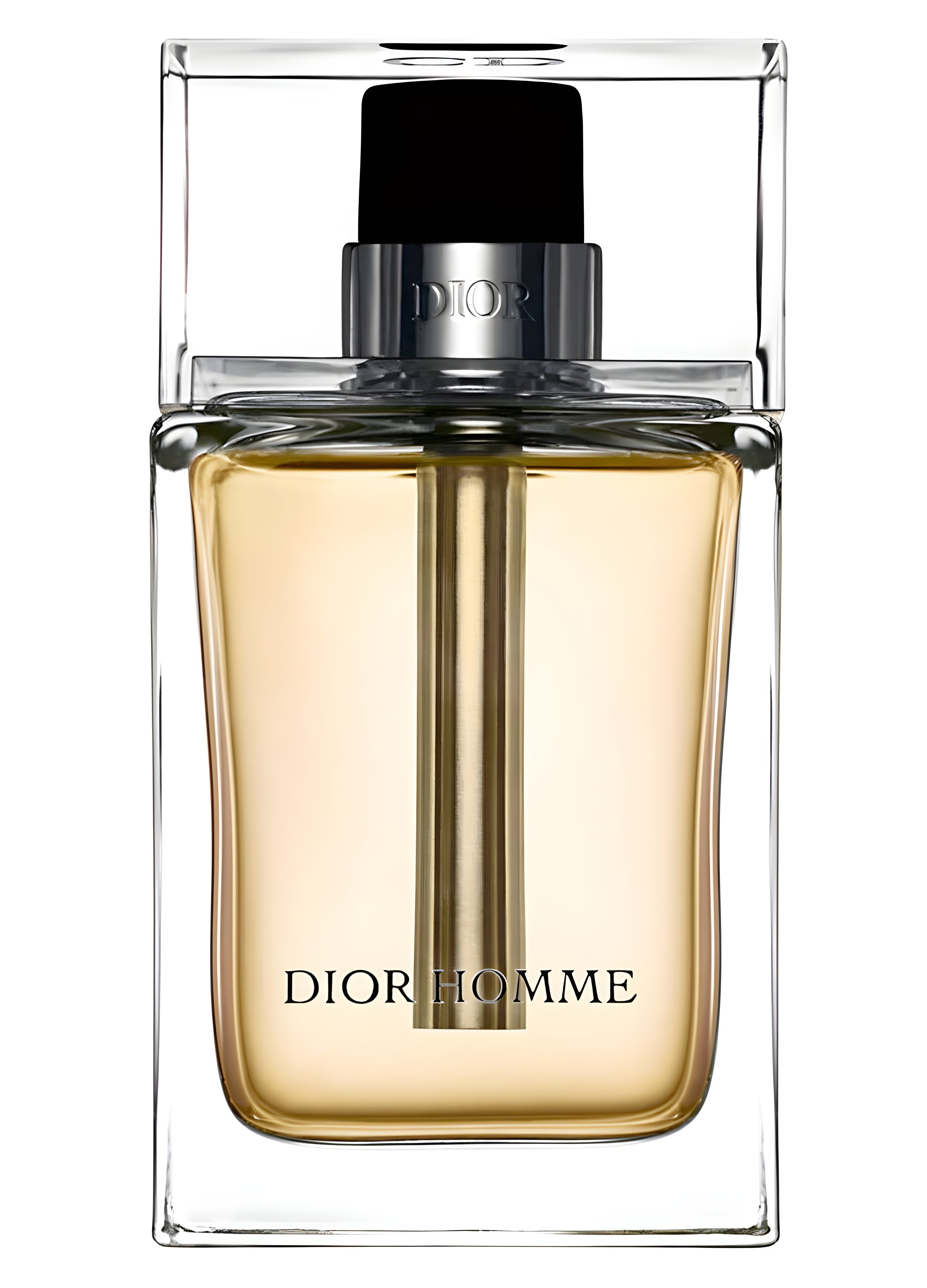 Picture of Dior Homme 2005 fragrance