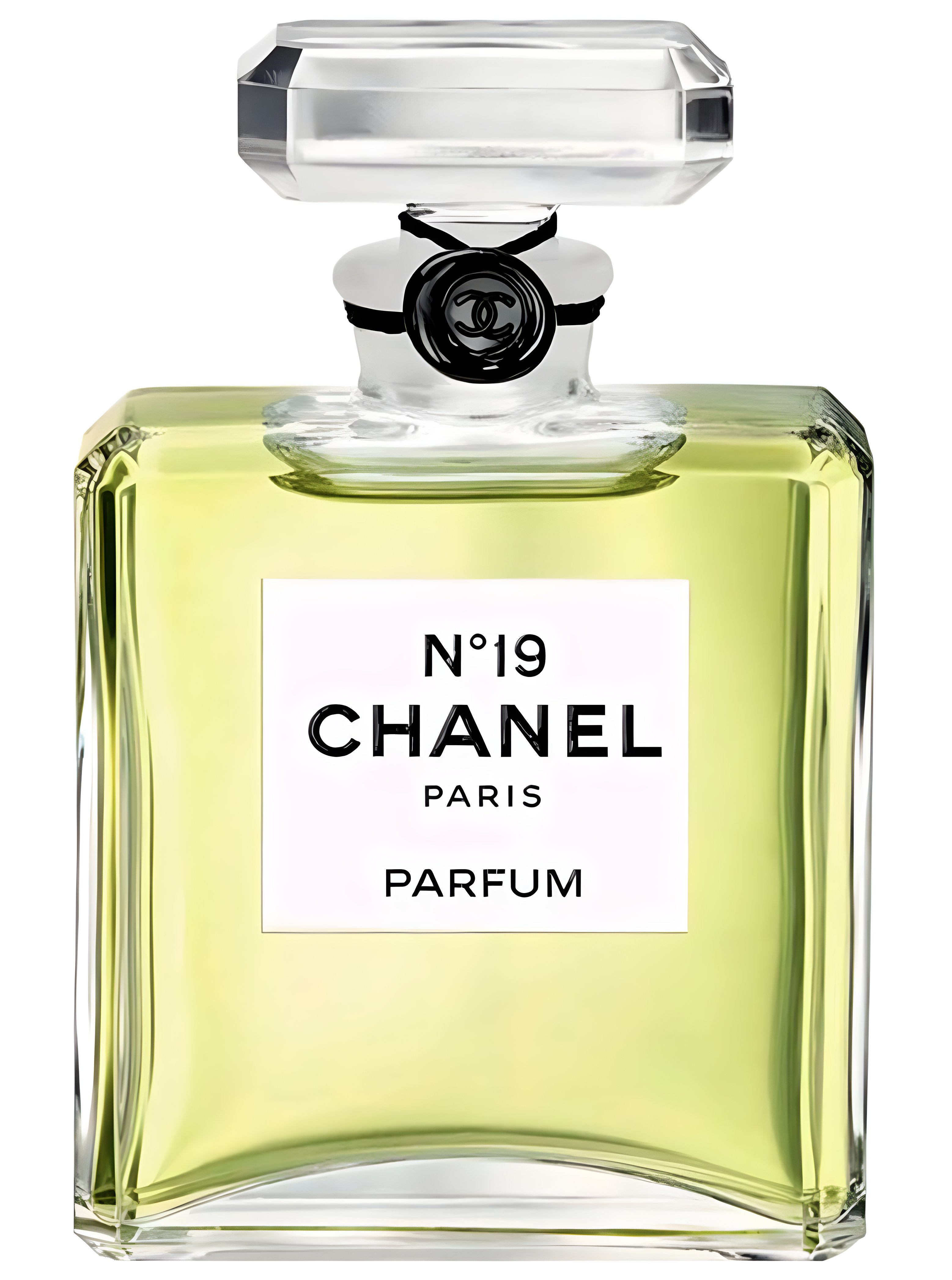 Picture of Chanel No 19 Parfum fragrance