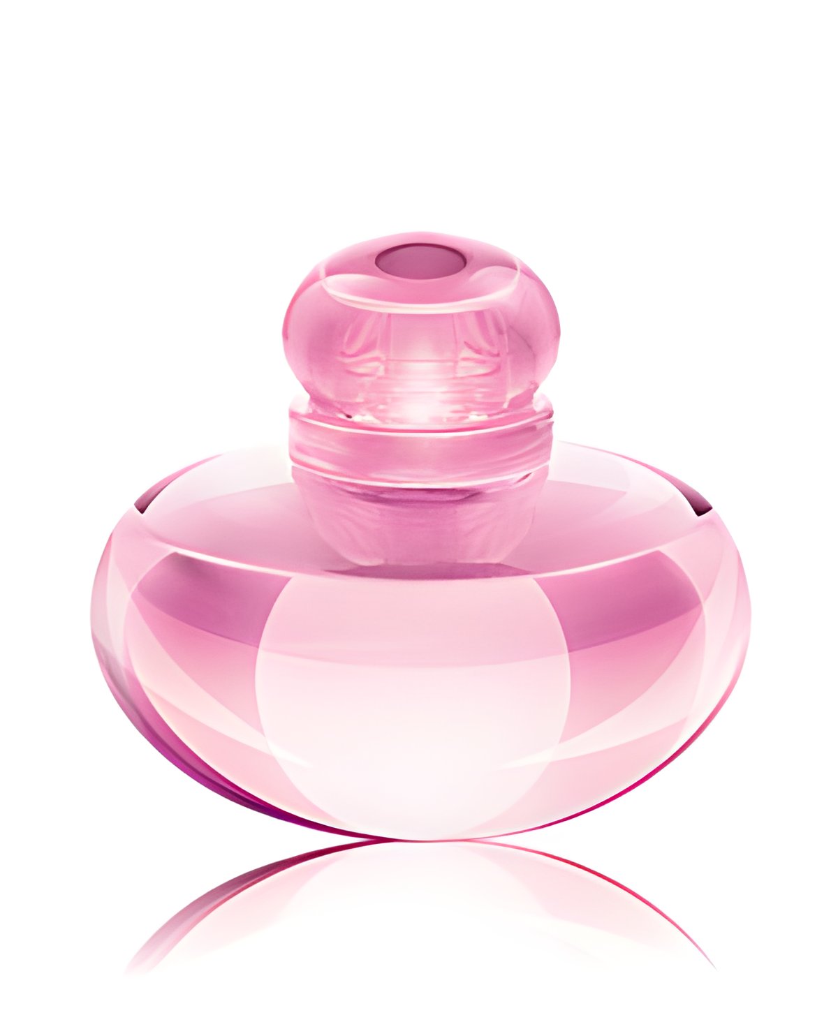 Picture of Volare Magnolia fragrance