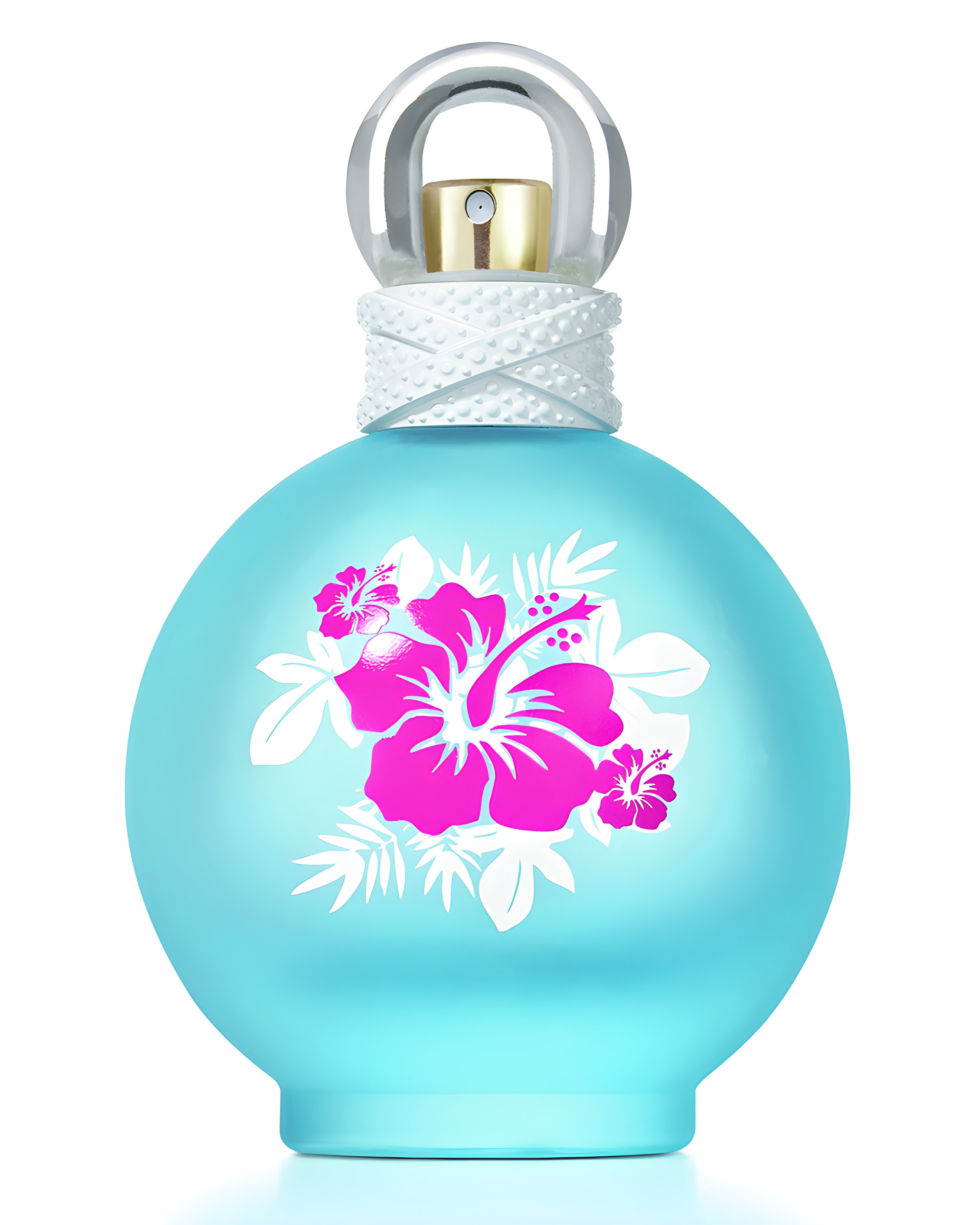 Picture of Maui Fantasy fragrance