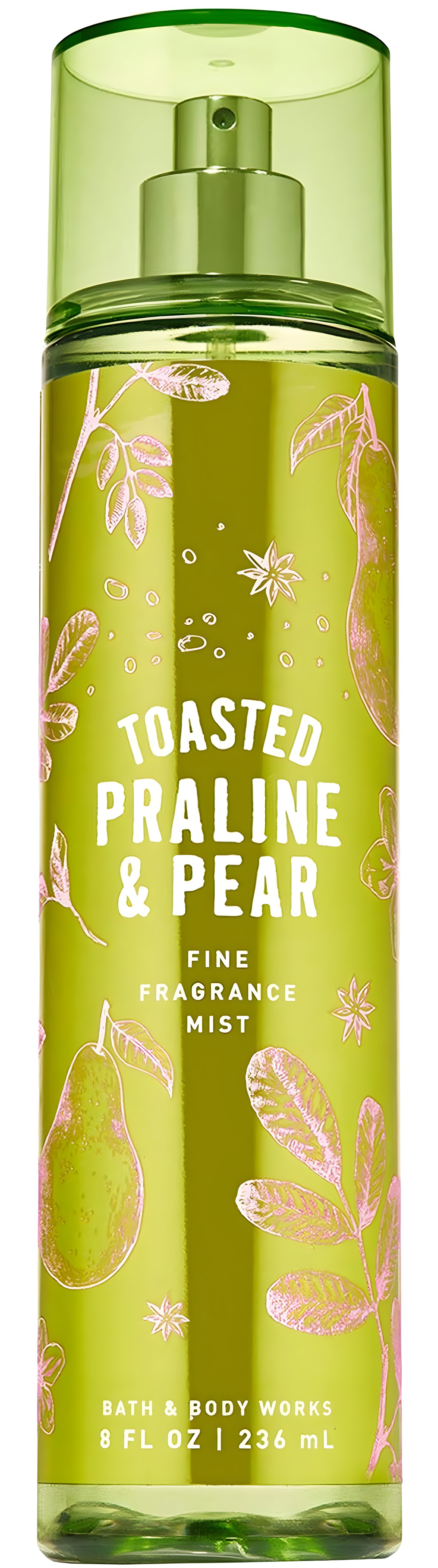 Picture of Toasted Praline & Pear fragrance