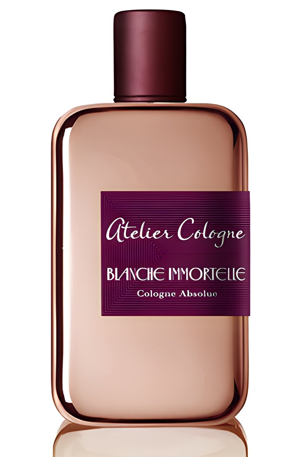 Picture of Blanche Immortelle fragrance