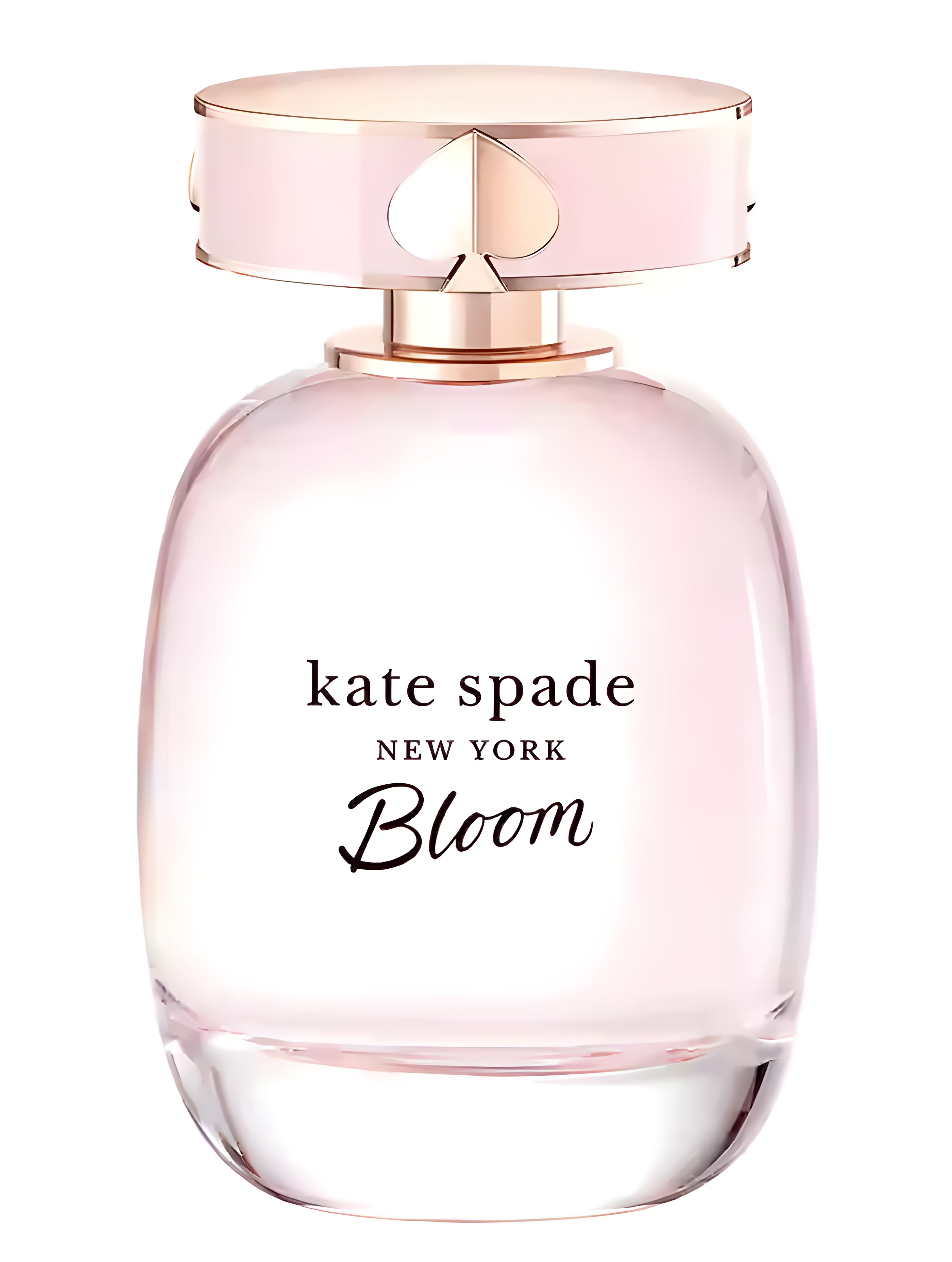 Picture of Kate Spade New York Bloom fragrance