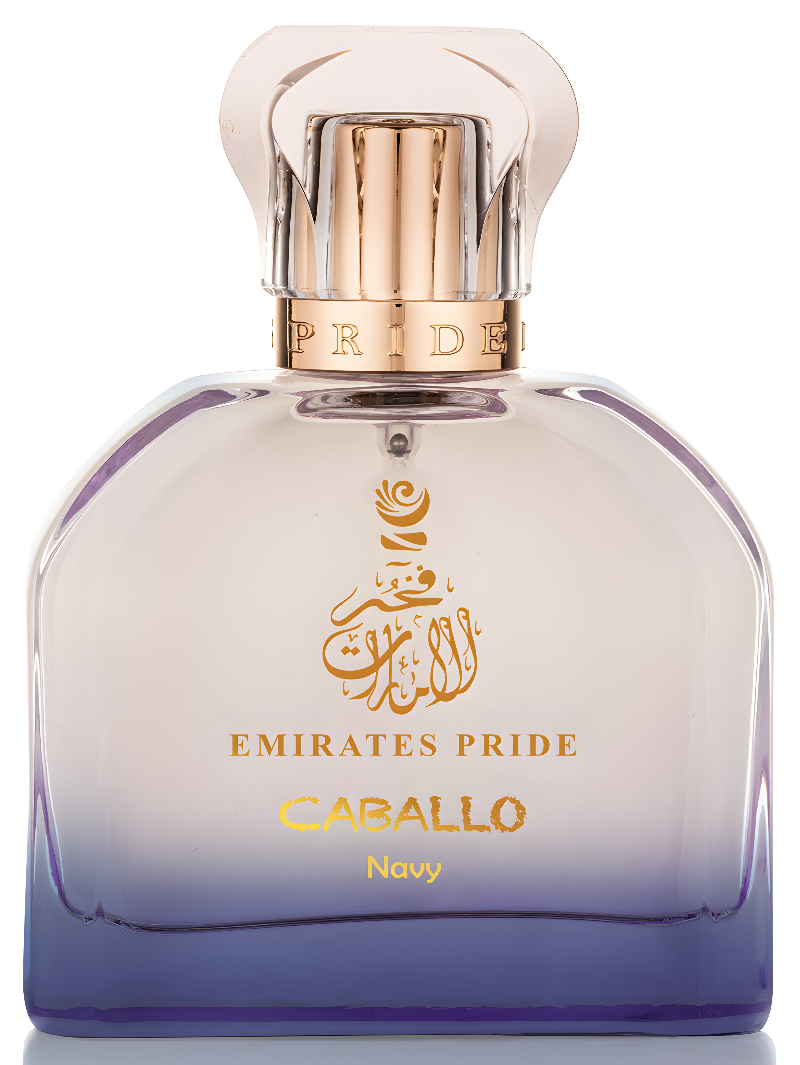 Picture of Caballo Navy fragrance