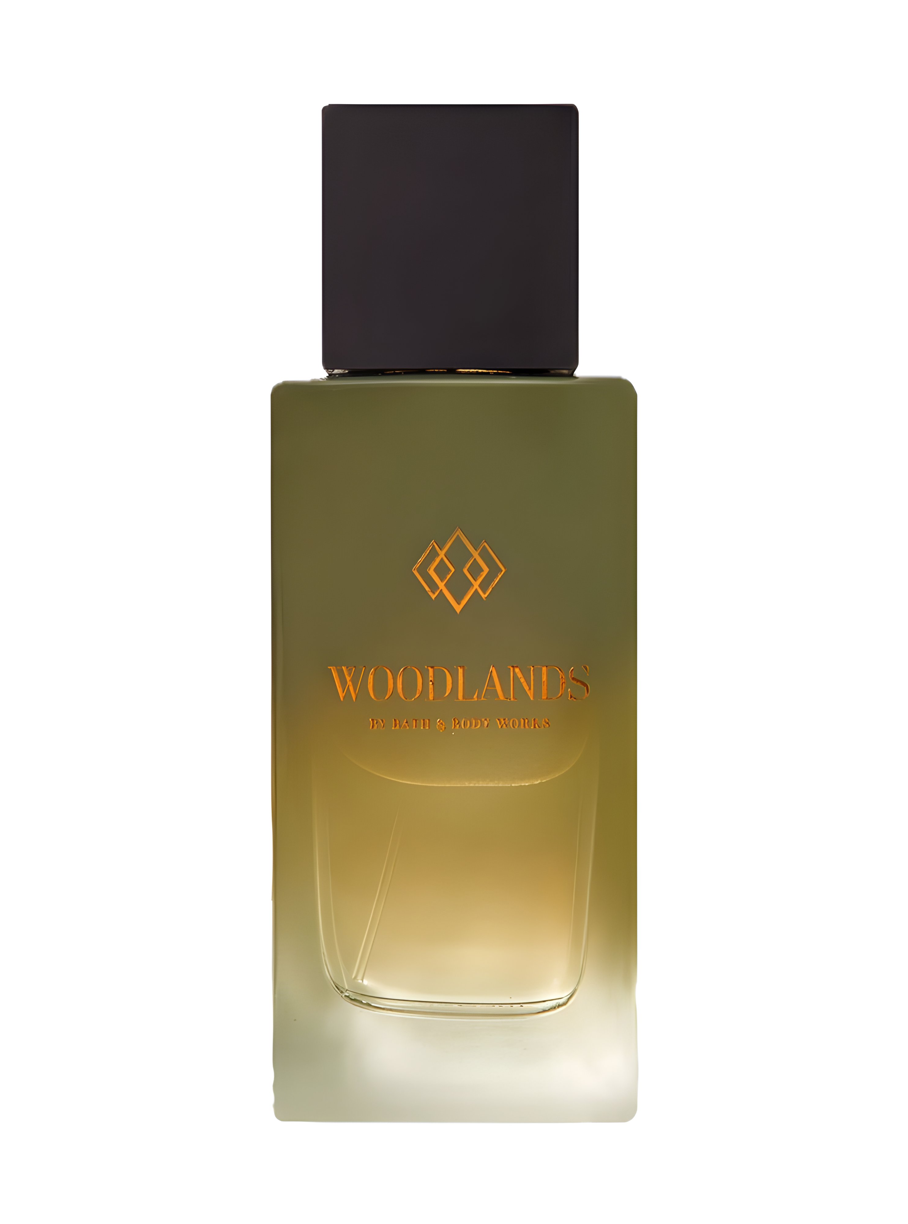 Picture of Woodlands fragrance