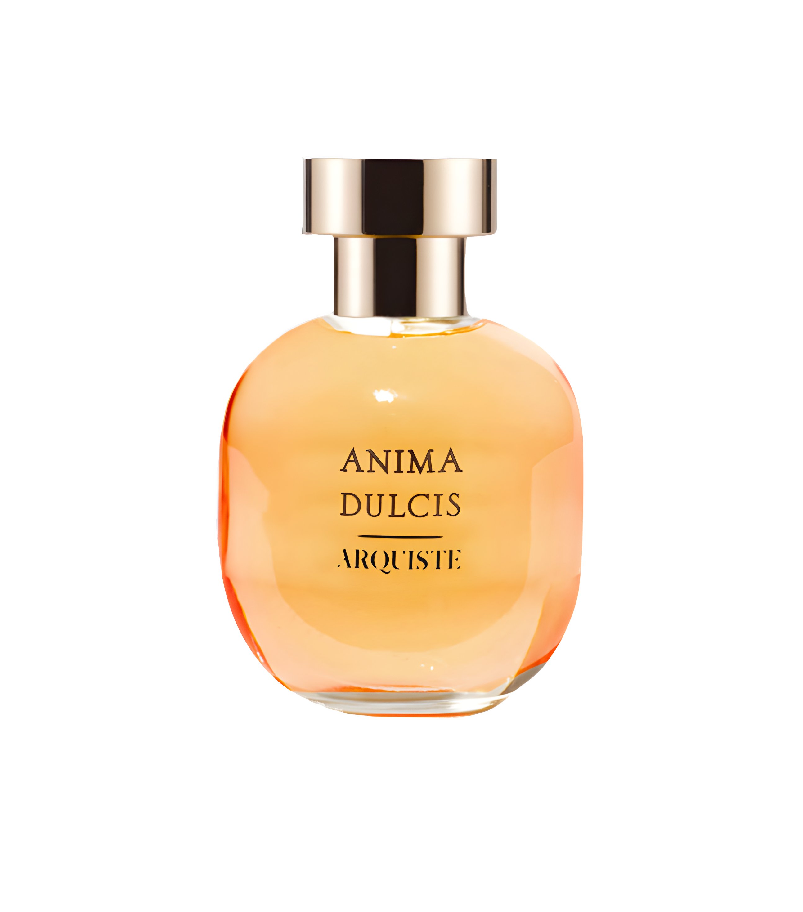 Picture of Anima Dulcis fragrance